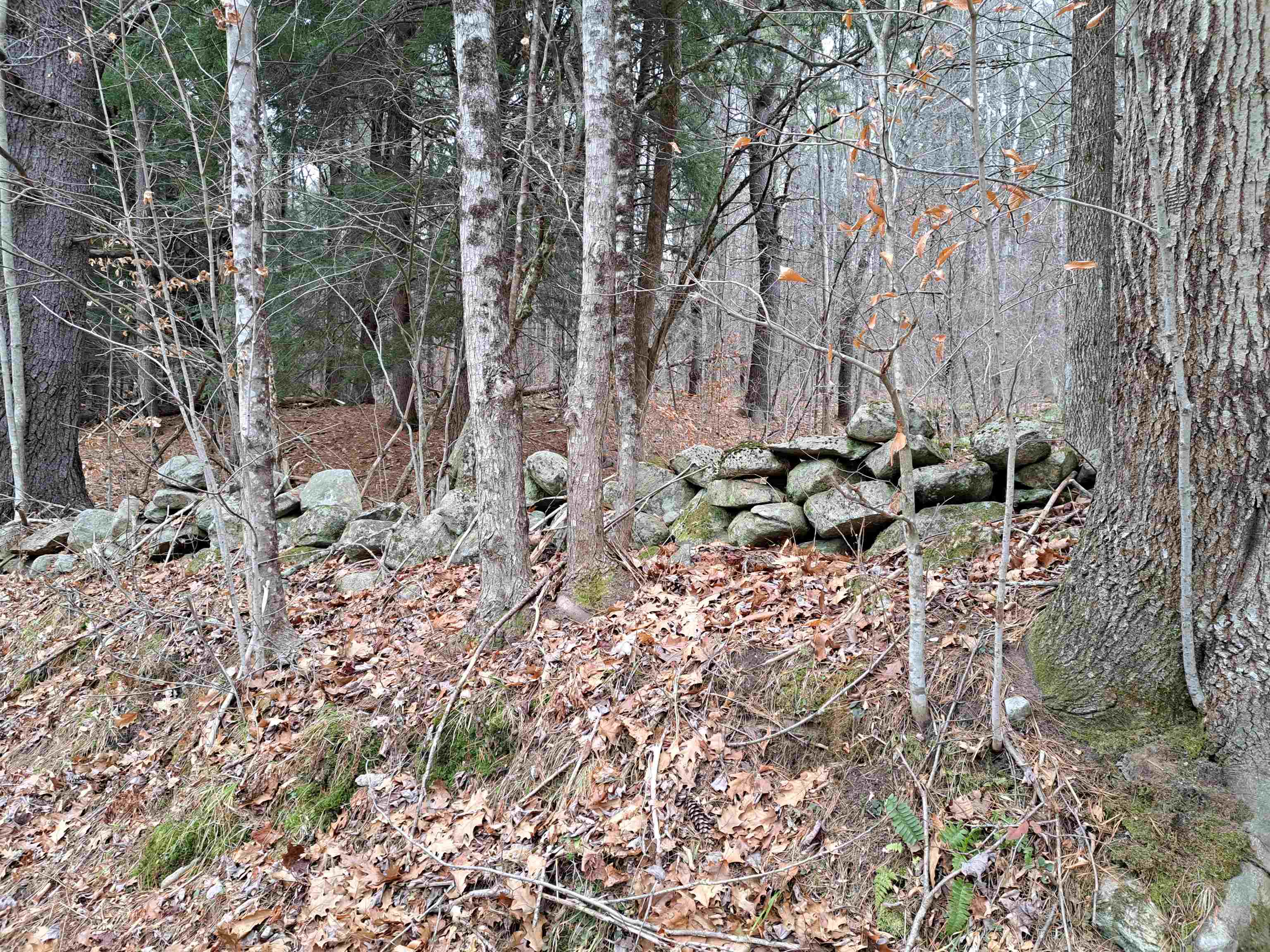 Stone walls 24464109