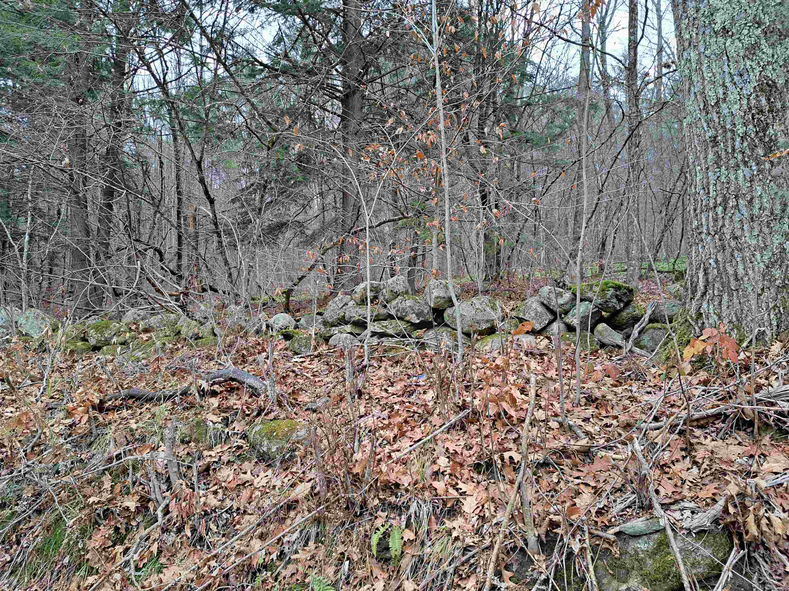 Stone walls 24464161