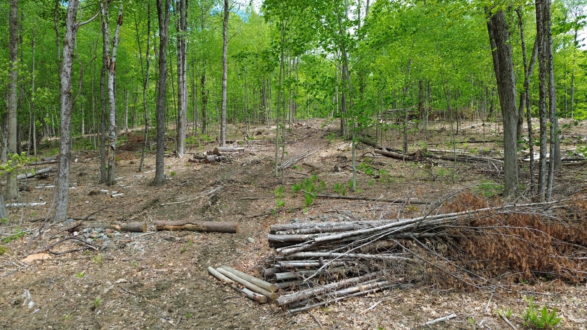 Lot 26-1 Plain Rd, Hinsdale, NH 03451