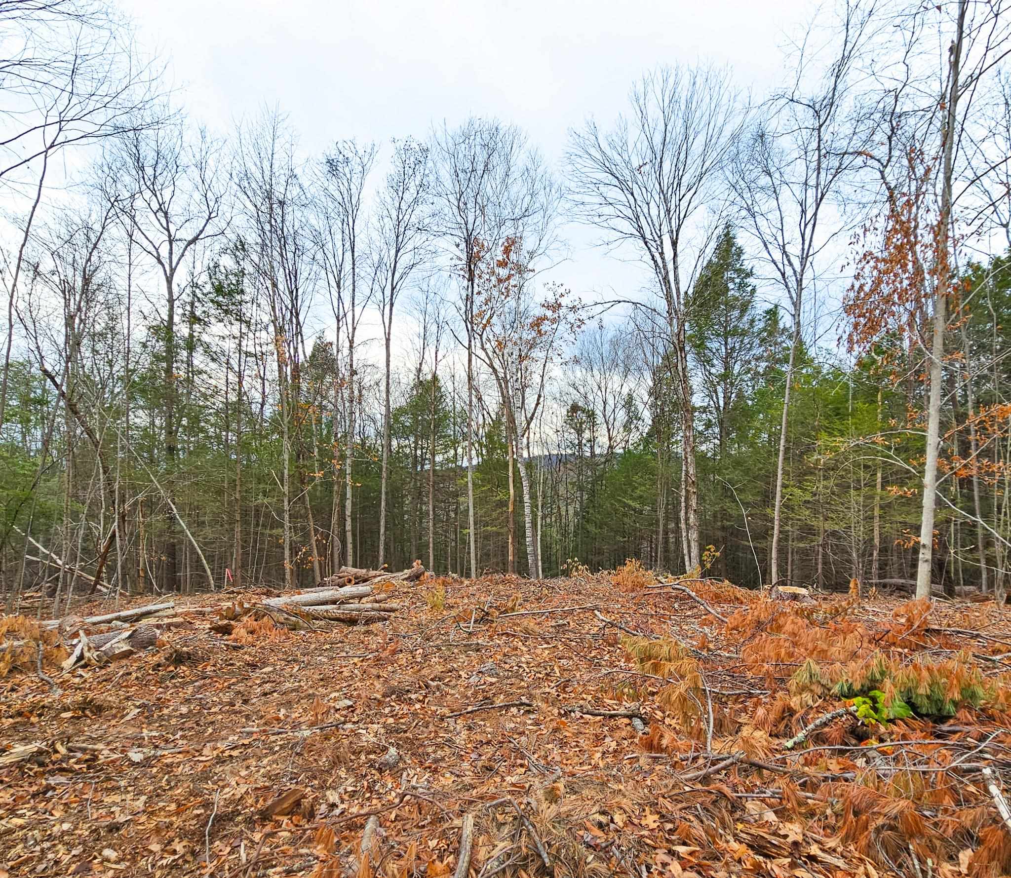 Lot 26-1 Plain Rd, Hinsdale, NH 03451