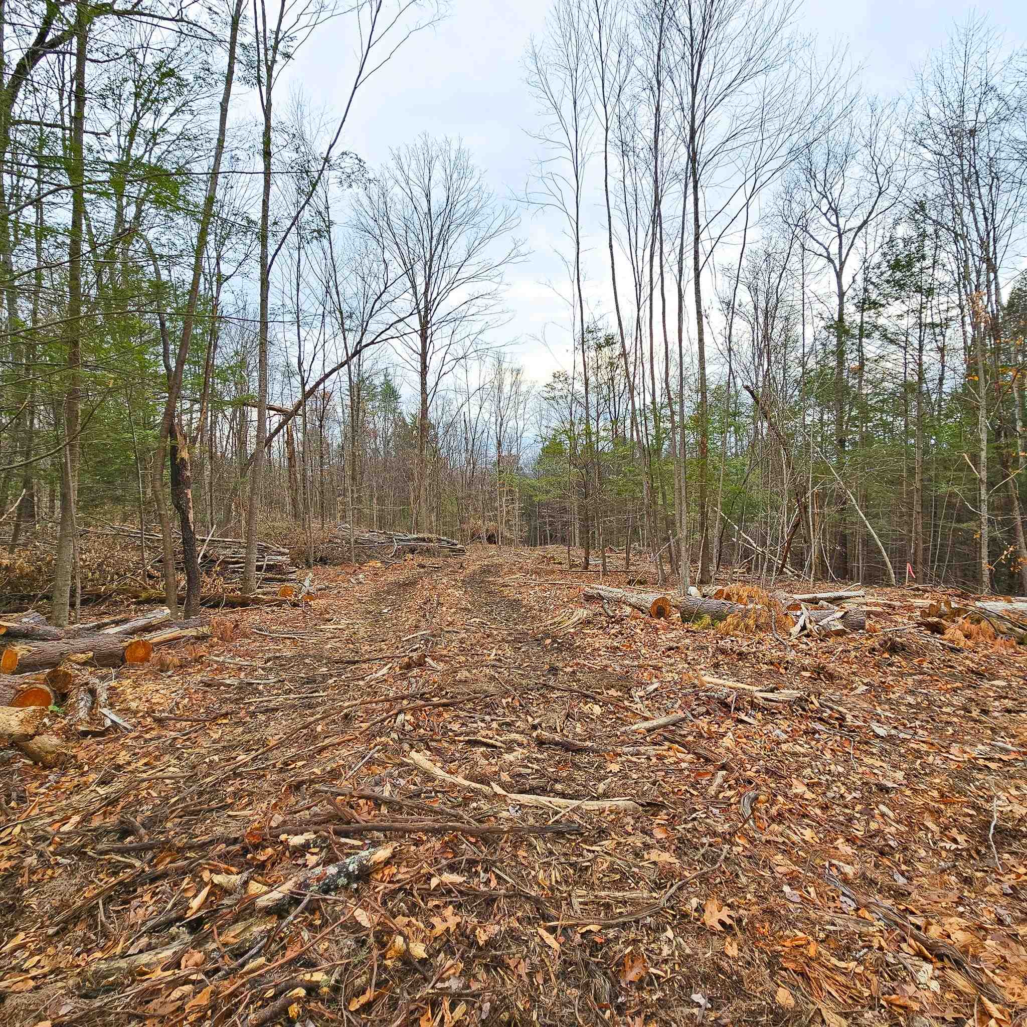 Lot 26-1 Plain Rd, Hinsdale, NH 03451