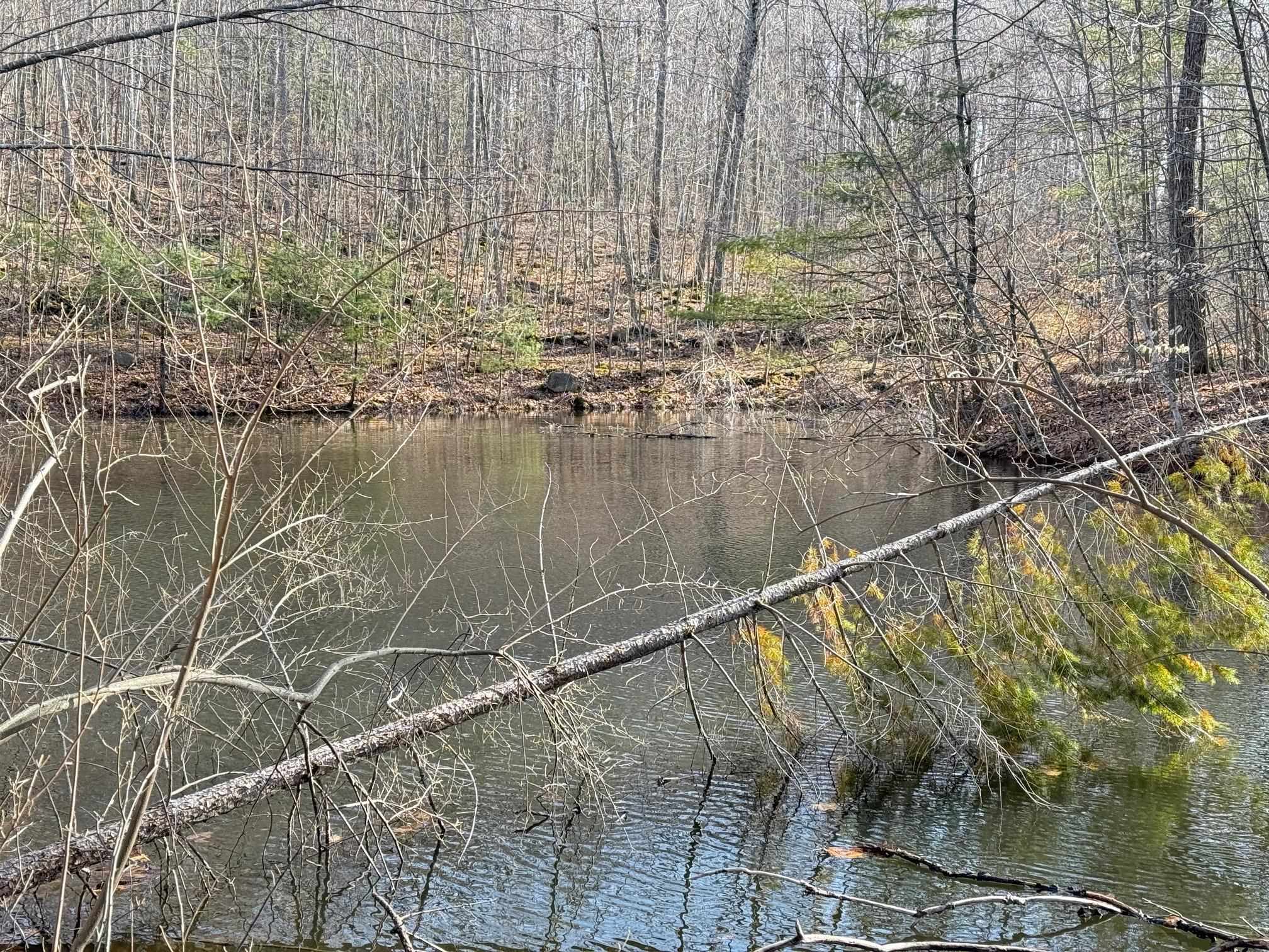 Map 3 Lot 18 2b And 18 2c Water St, Strafford, NH 03884