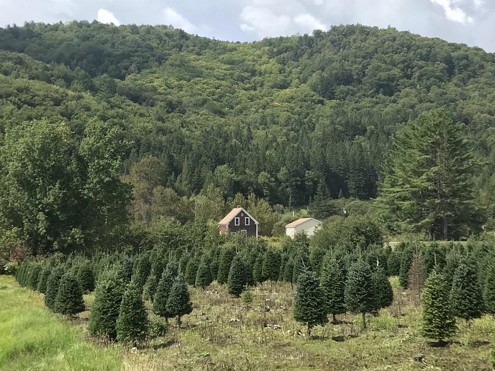 92 Bishop Brook Rd, Stewartstown, NH 03576