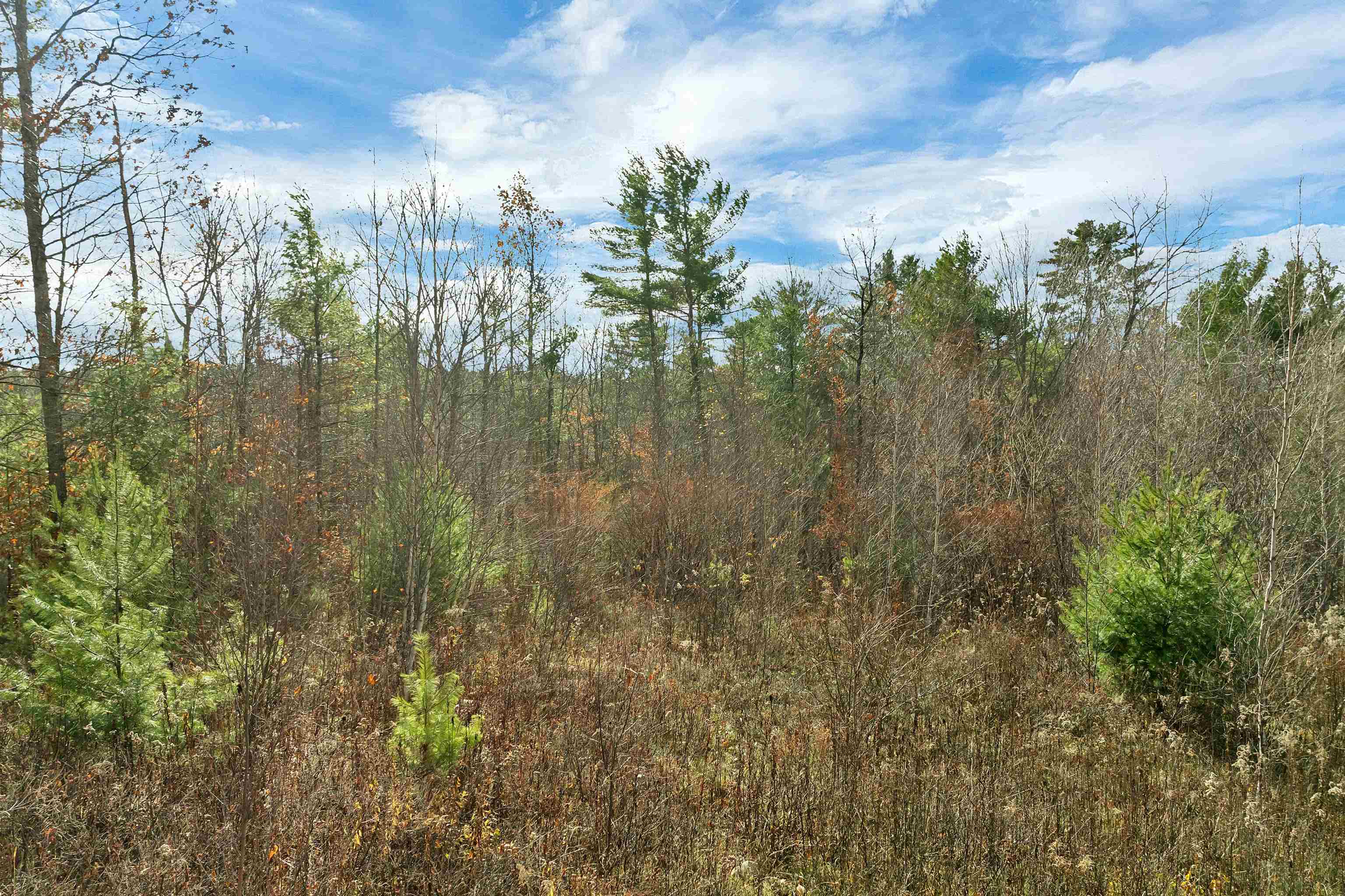 7 Lady Slipper Ln, Moultonborough, NH 03254