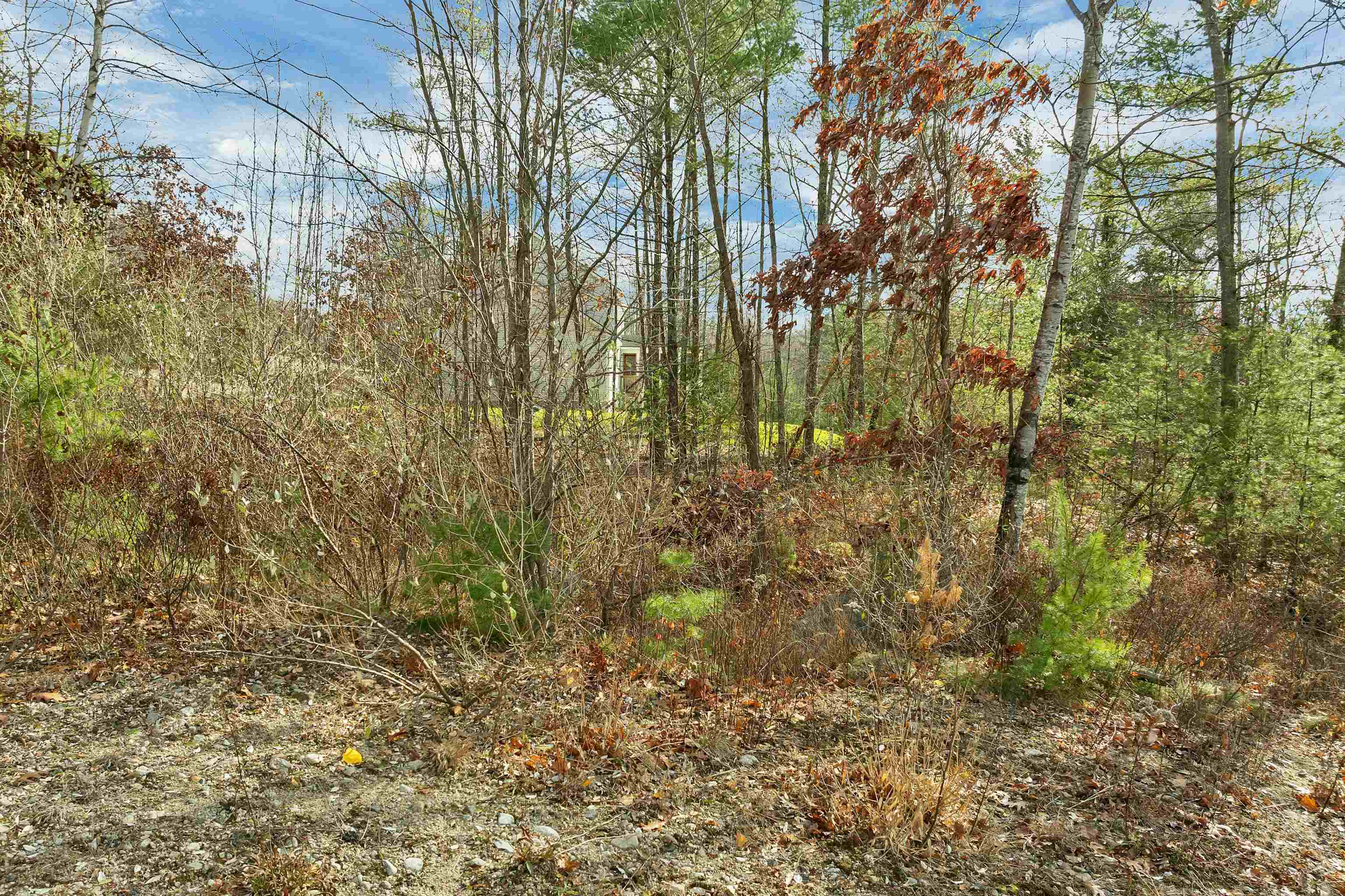 7 Lady Slipper Ln, Moultonborough, NH 03254