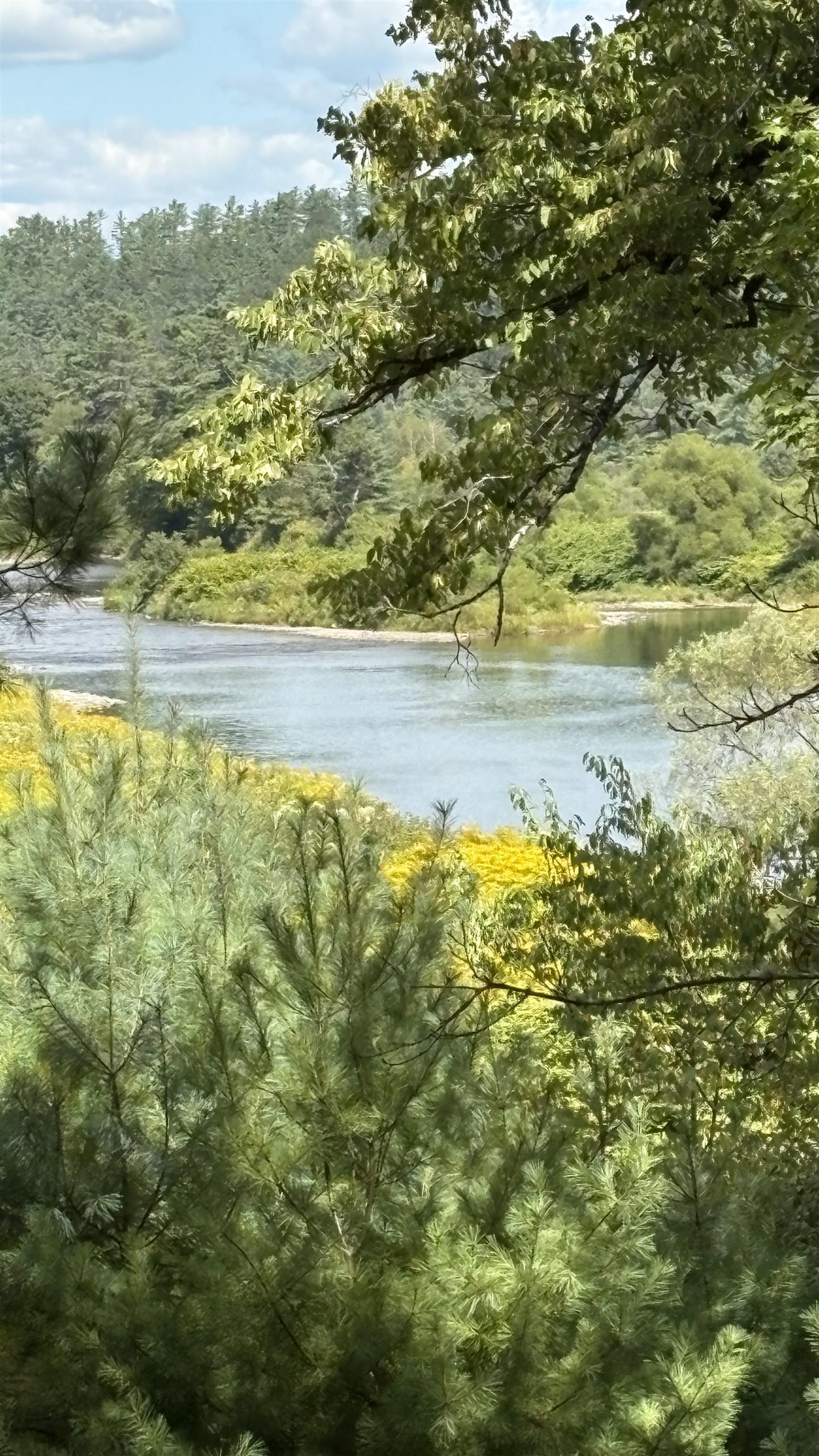 Lisbon NH&nbsp;Land for sale $$295,000 | 12 Acres  | Price Per Acre $0  | Total Lots 2