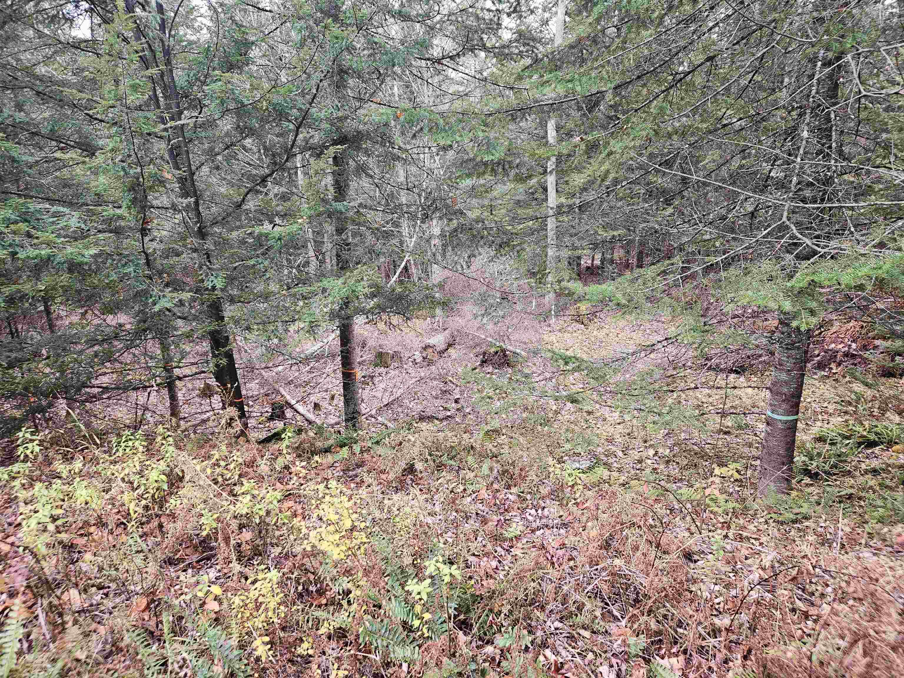 35 Langway Rd, Lyman, NH 03585