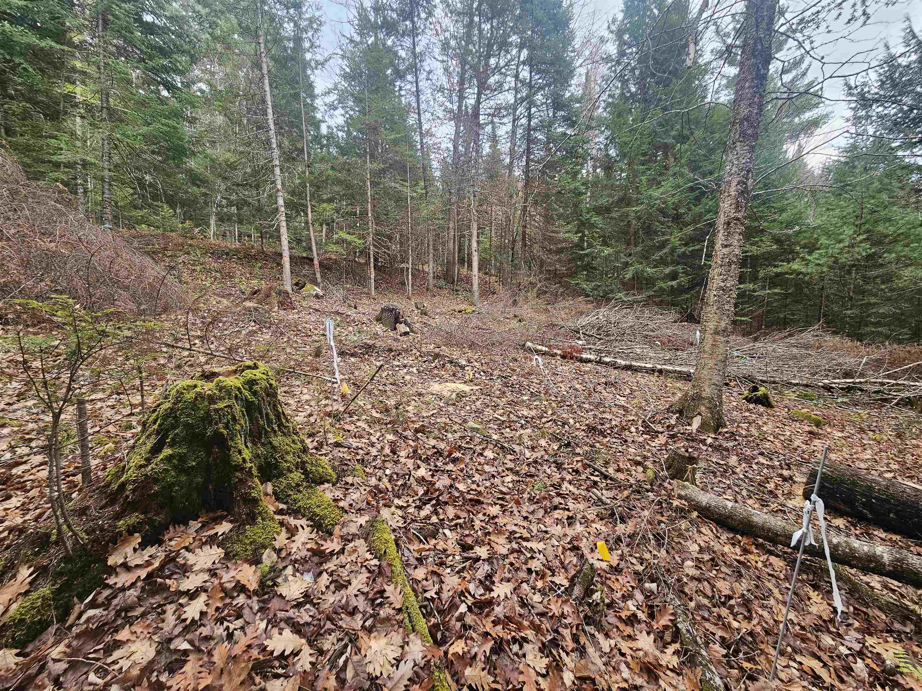 35 Langway Rd, Lyman, NH 03585