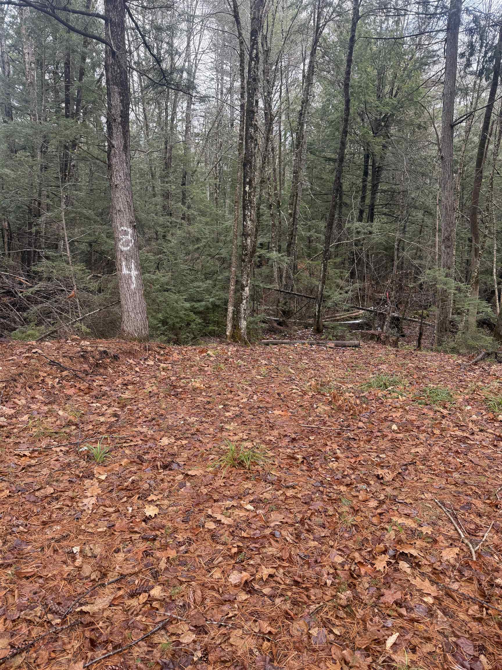 00 Partridge Hill Road — photo 2