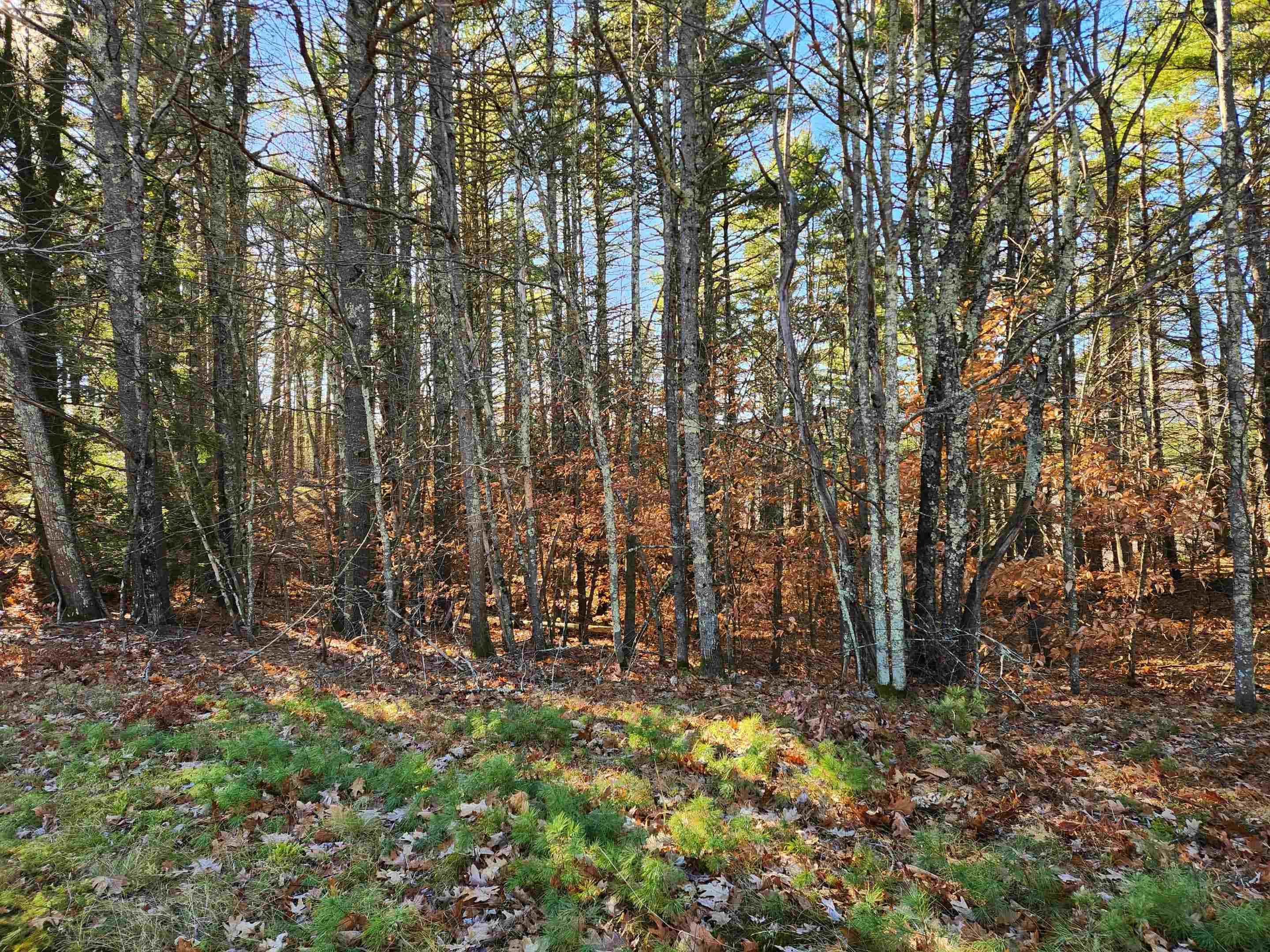 19 White Mountain Hw, Wakefield, NH 03872