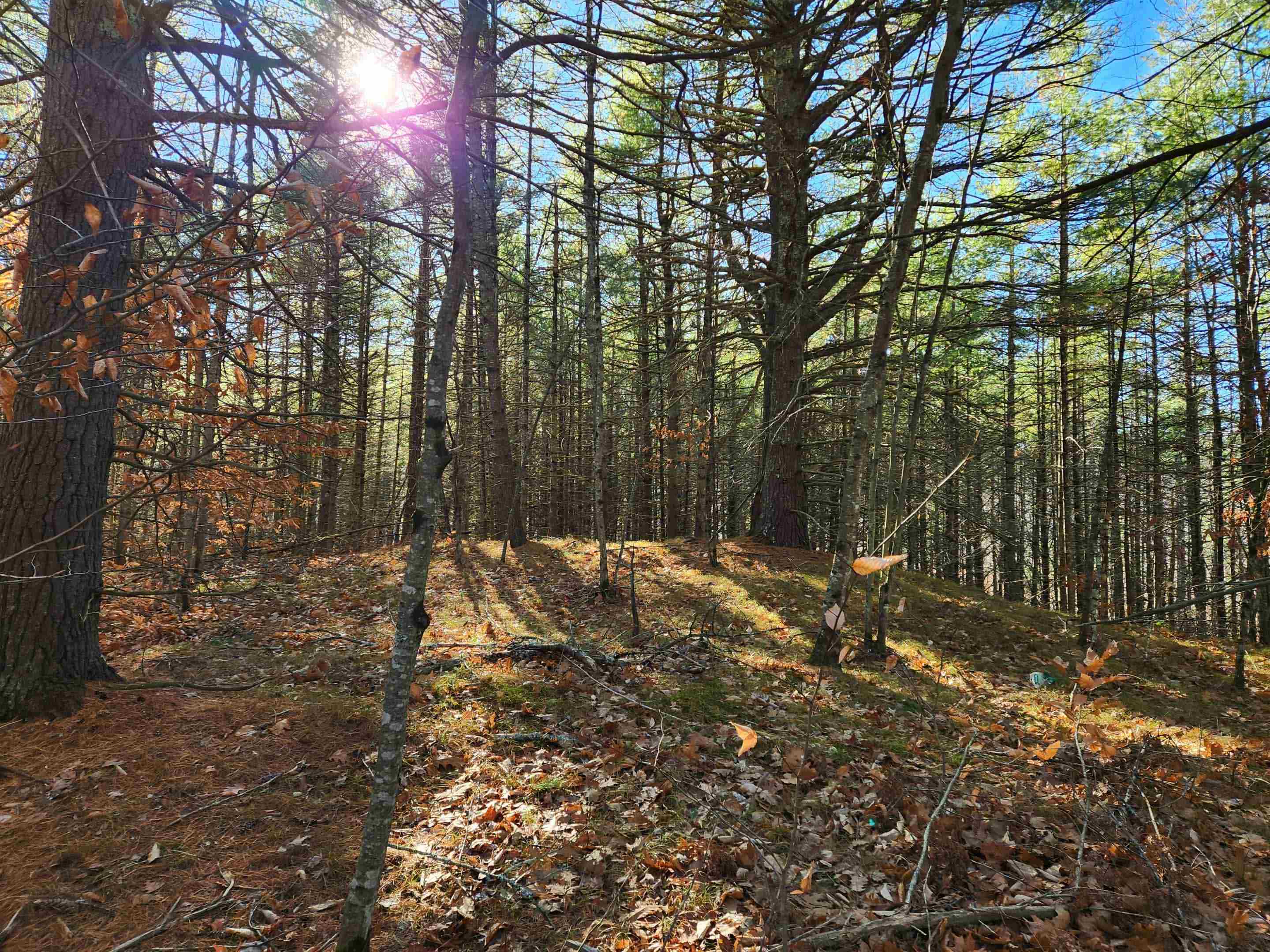 19 White Mountain Hw, Wakefield, NH 03872