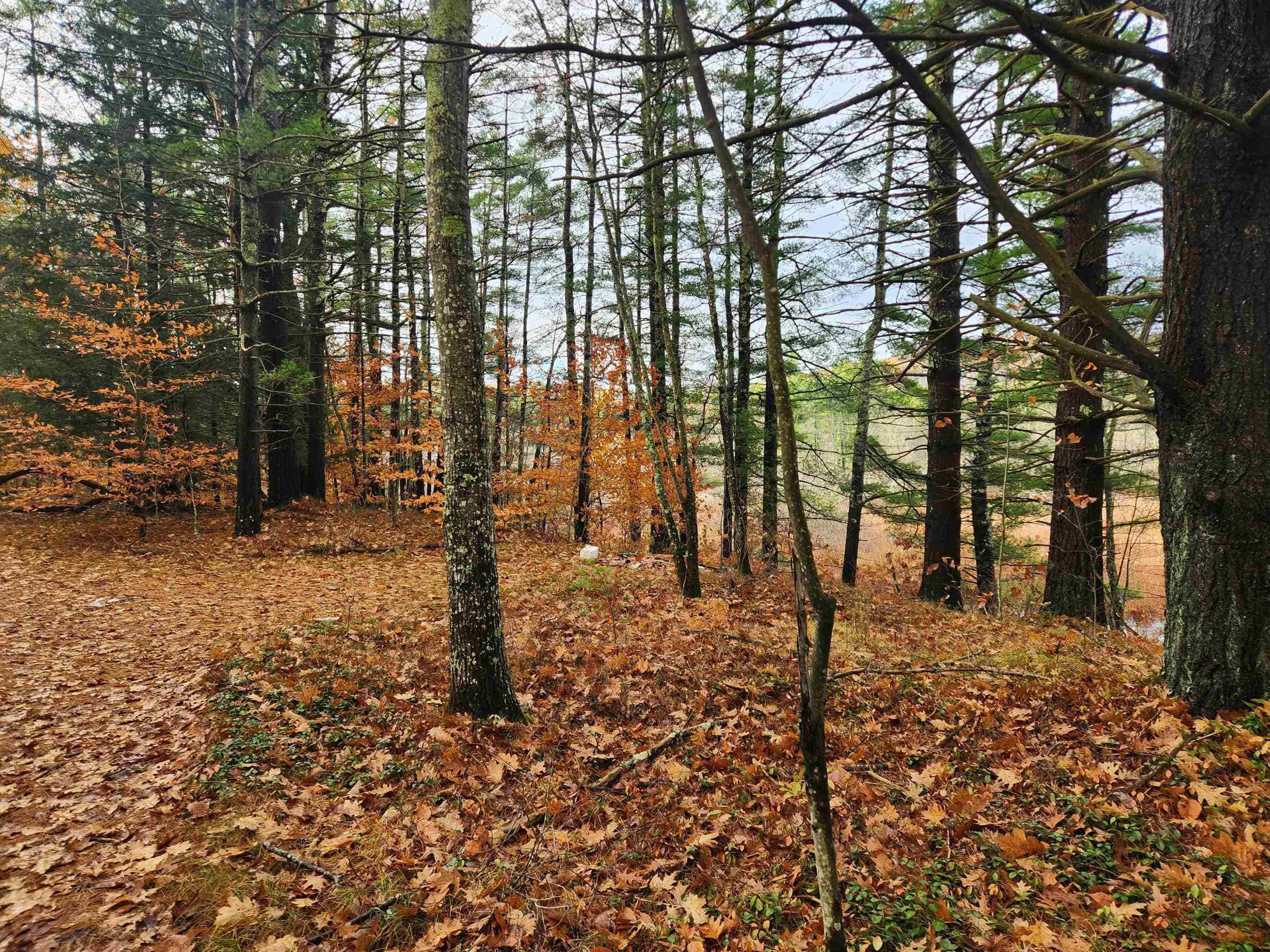 18 White Mountain Hw, Wakefield, NH 03872