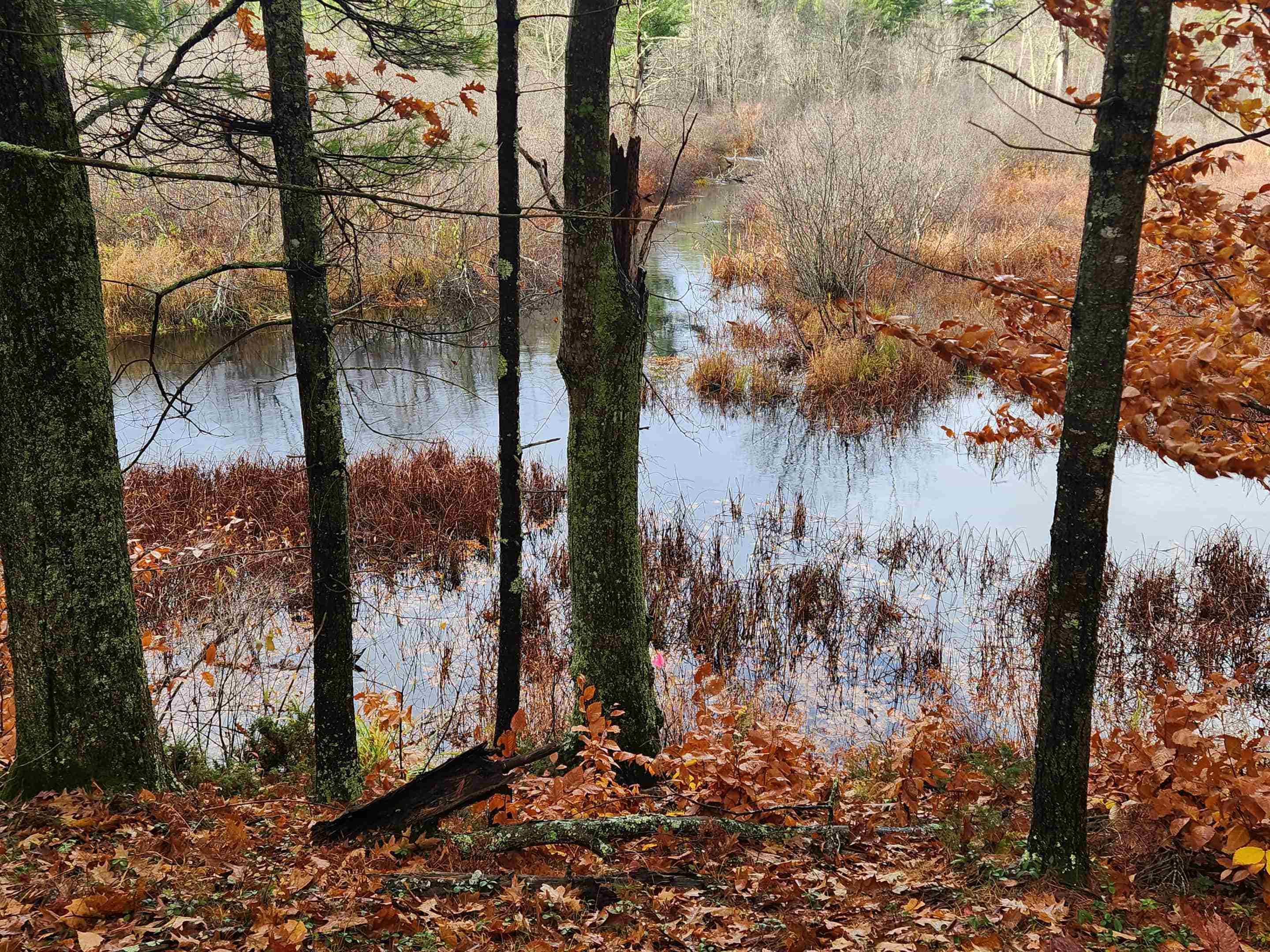 18 White Mountain Hw, Wakefield, NH 03872