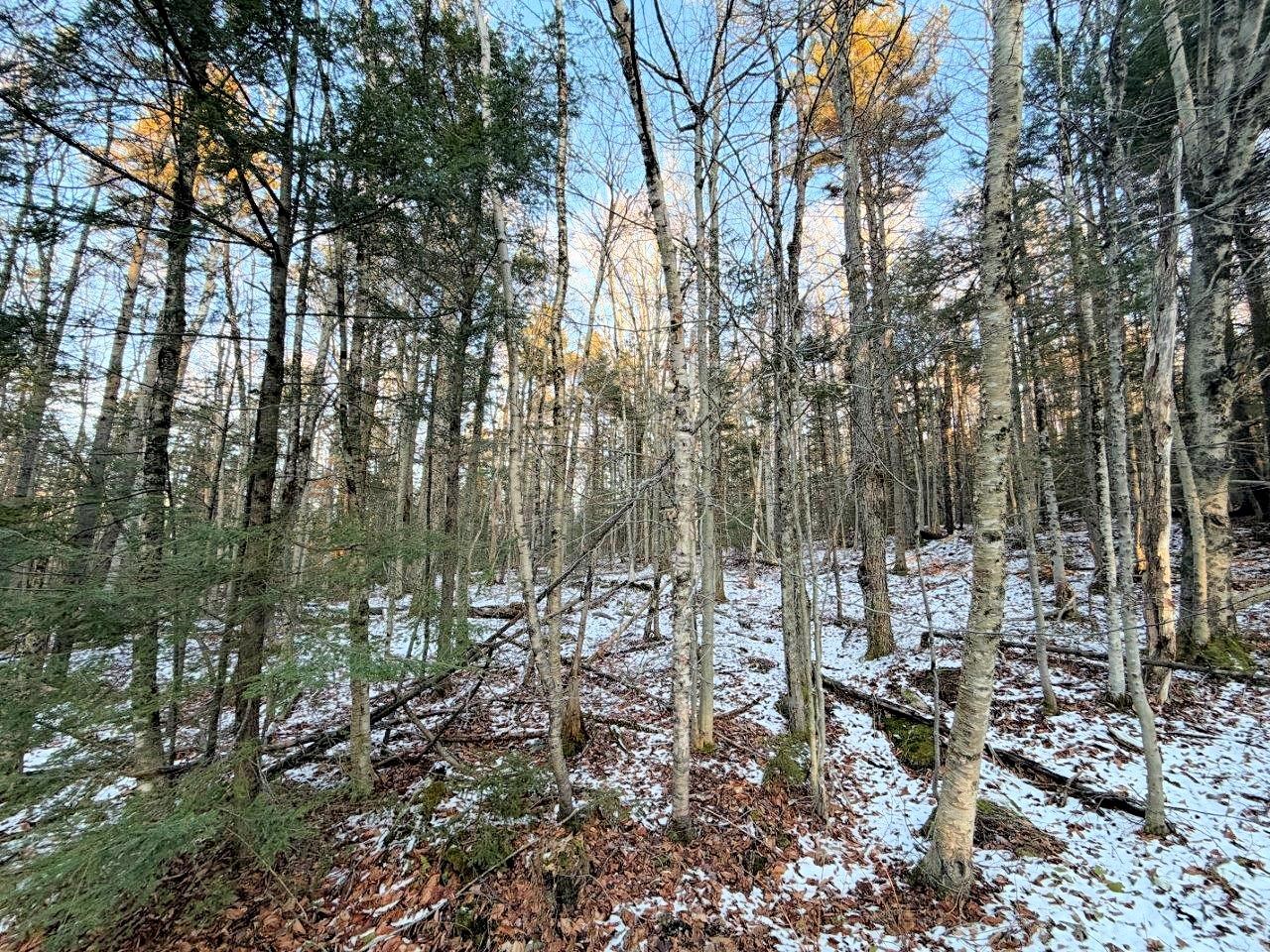 Property photo 25