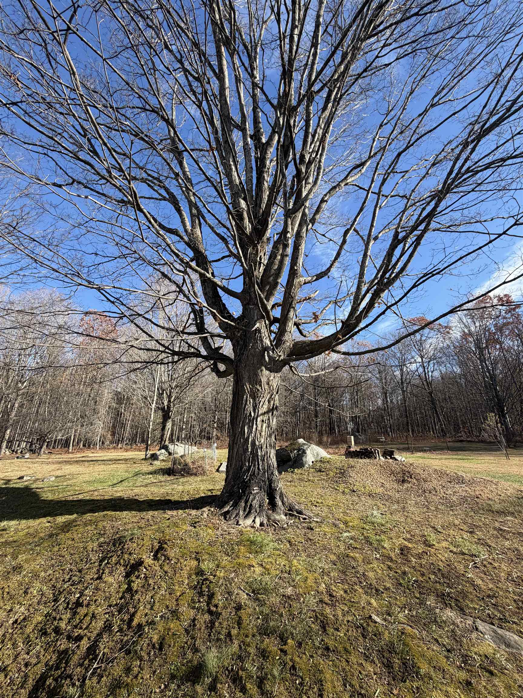 00 Pease Road — photo 2