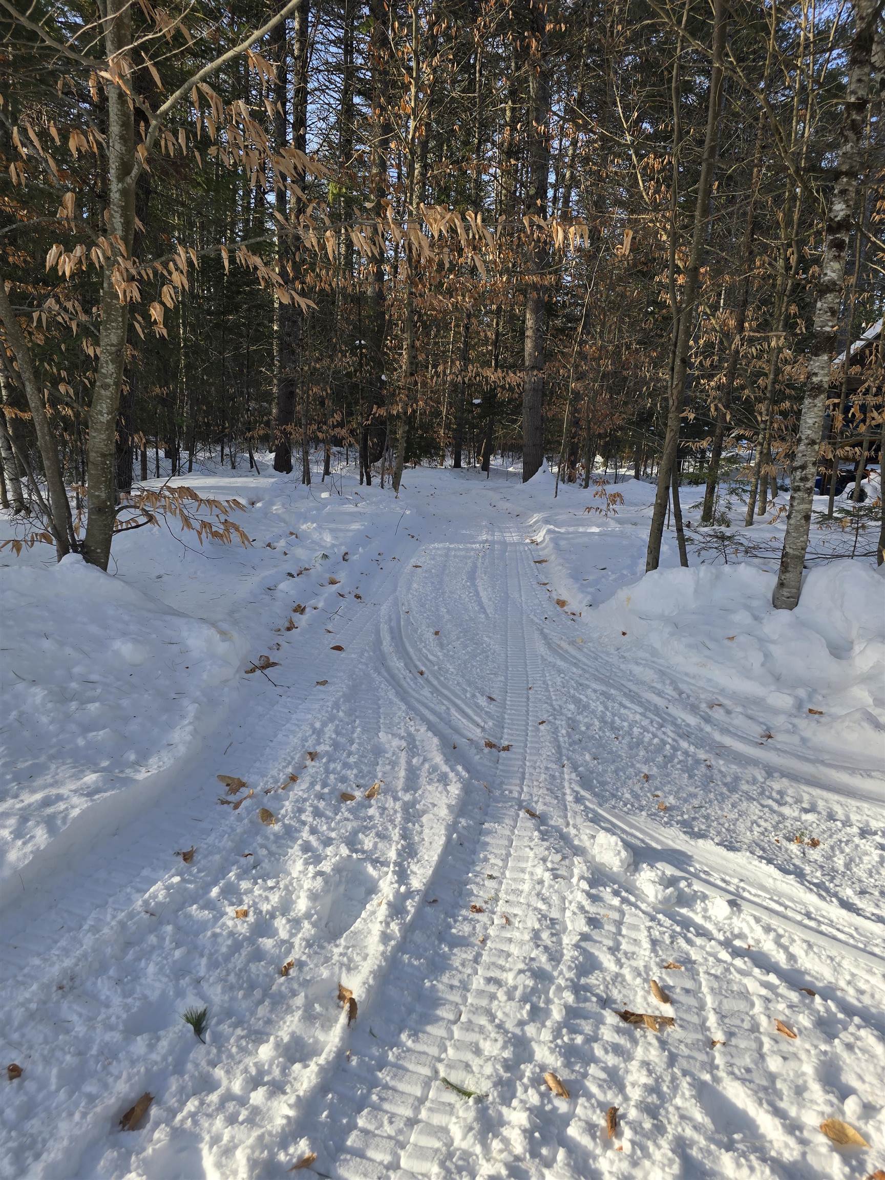 38 Webster Rd #14B, Conway, NH 03813