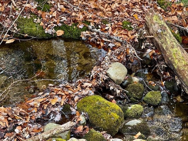 TBD Towle Hill Rd, Eaton, NH 03848