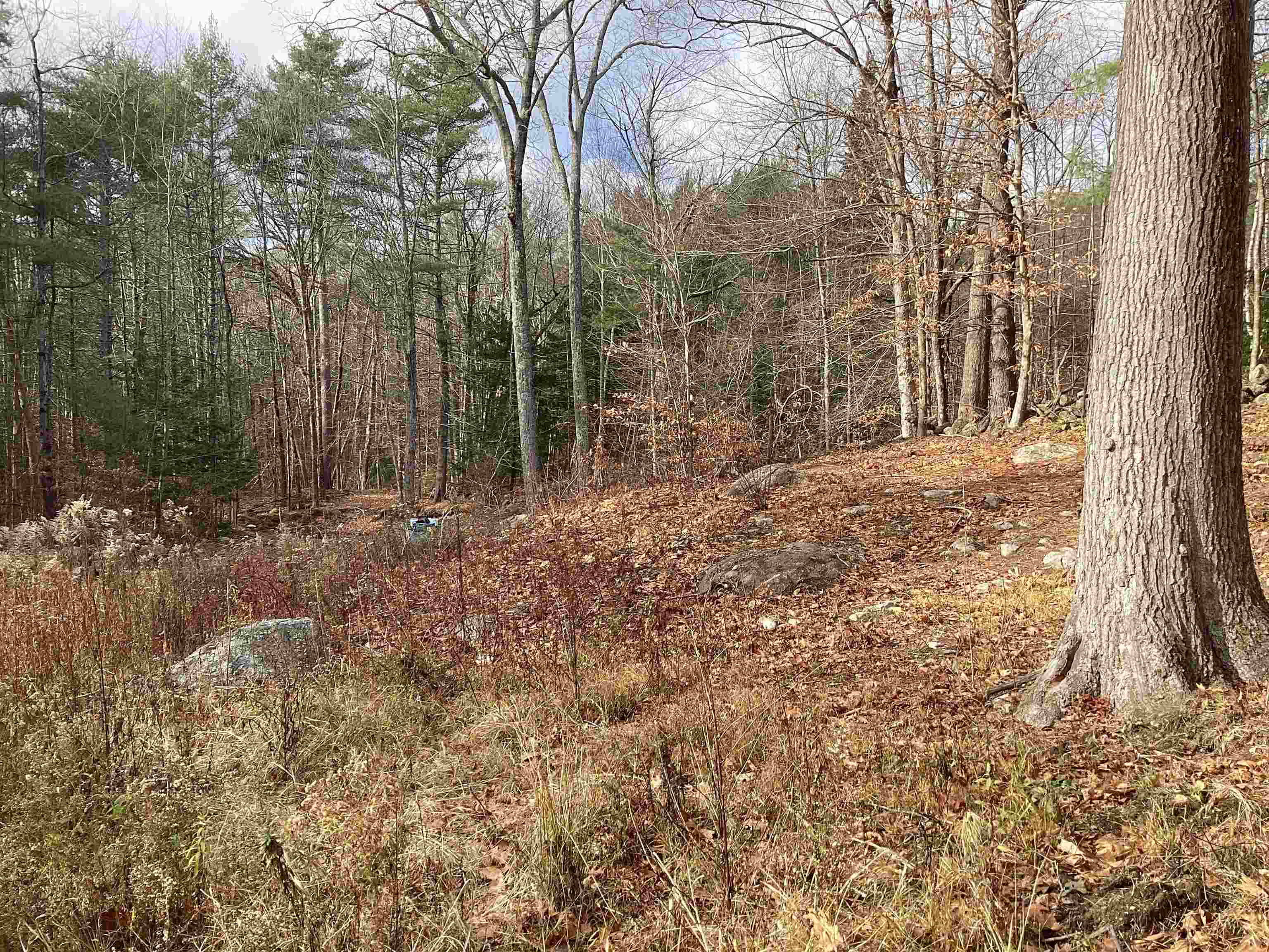 31 Blanchard Hill Rd, Greenfield, NH 03047