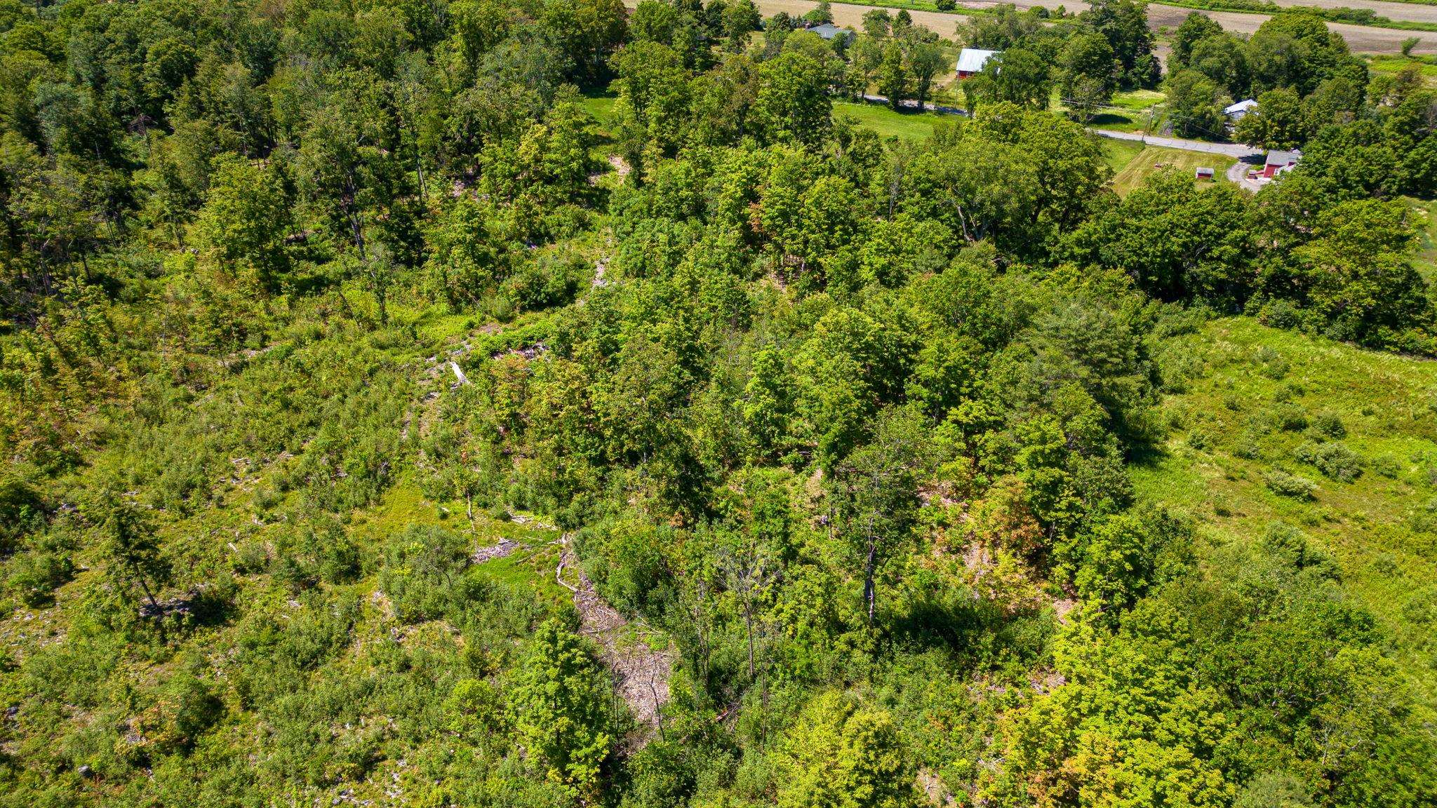 458 Cheshire Turnpike, Langdon, NH 03602