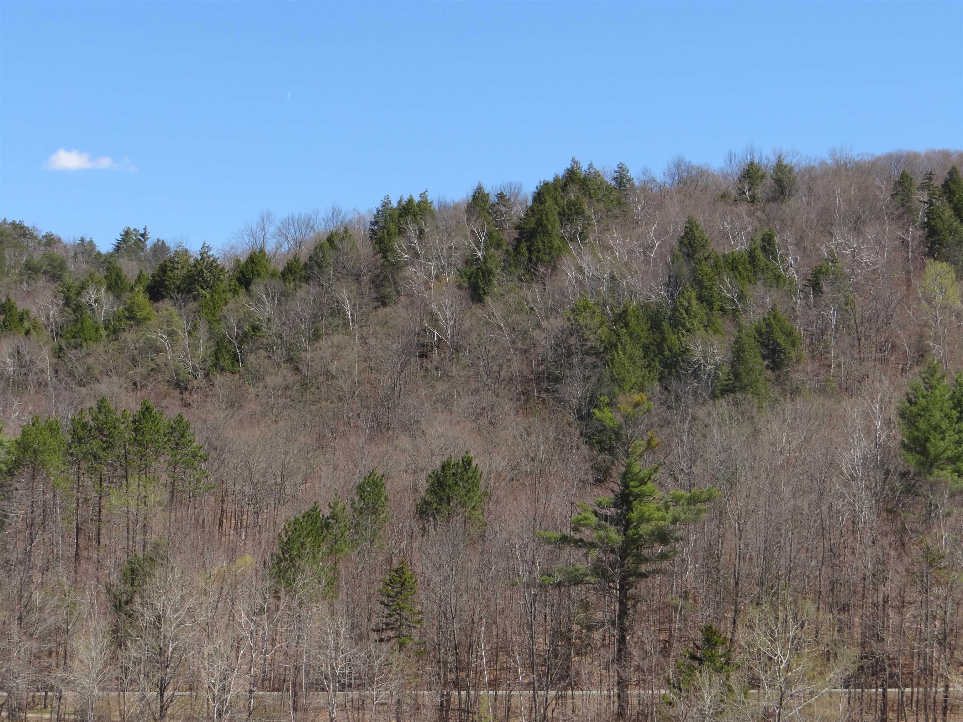 South Rd, Woodstock, VT 05071