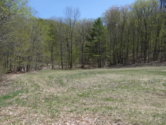South Rd, Woodstock, VT 05071