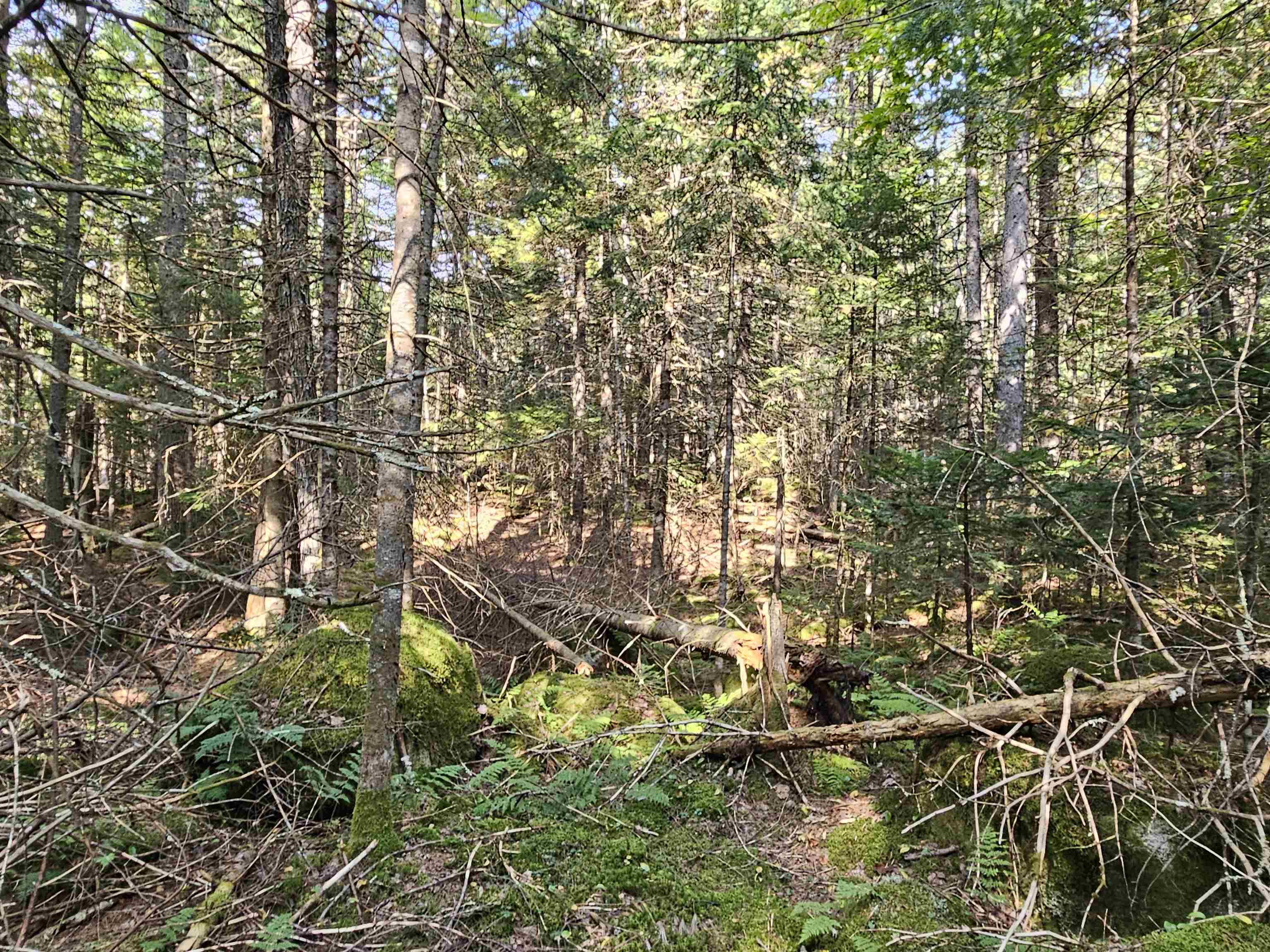 1476 Profile Rd, Franconia, NH 03580