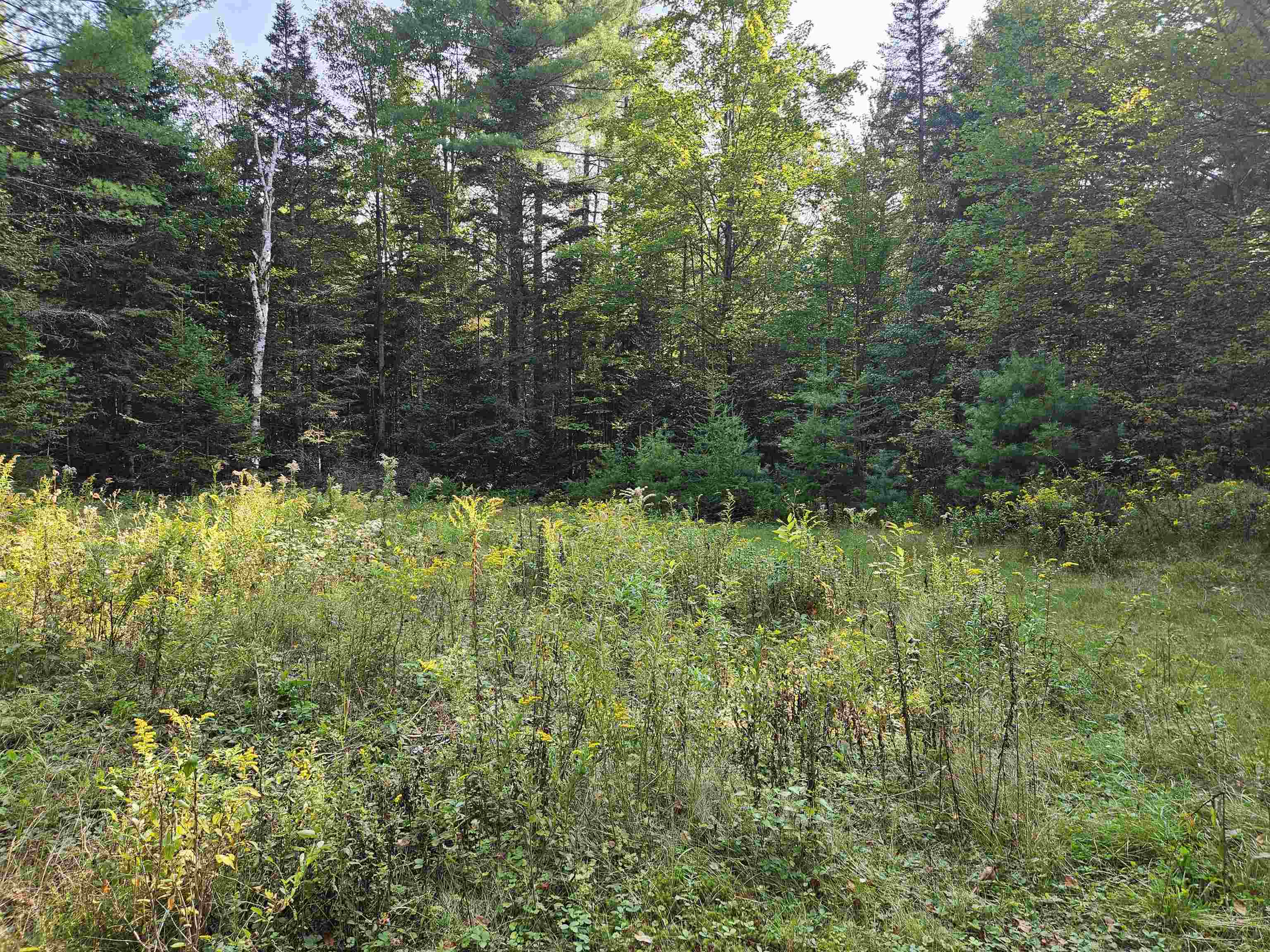 1476 Profile Rd, Franconia, NH 03580