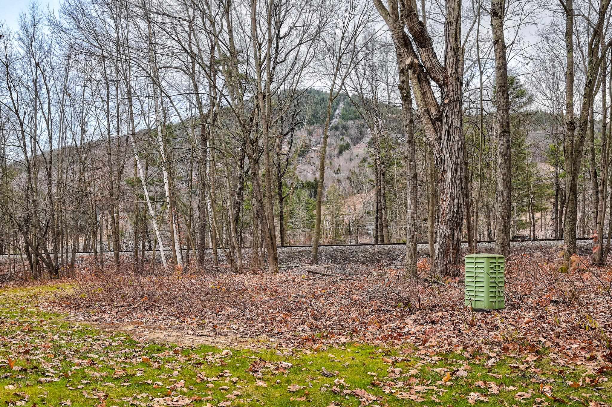 10G River Run Dr, Bartlett, NH 03812