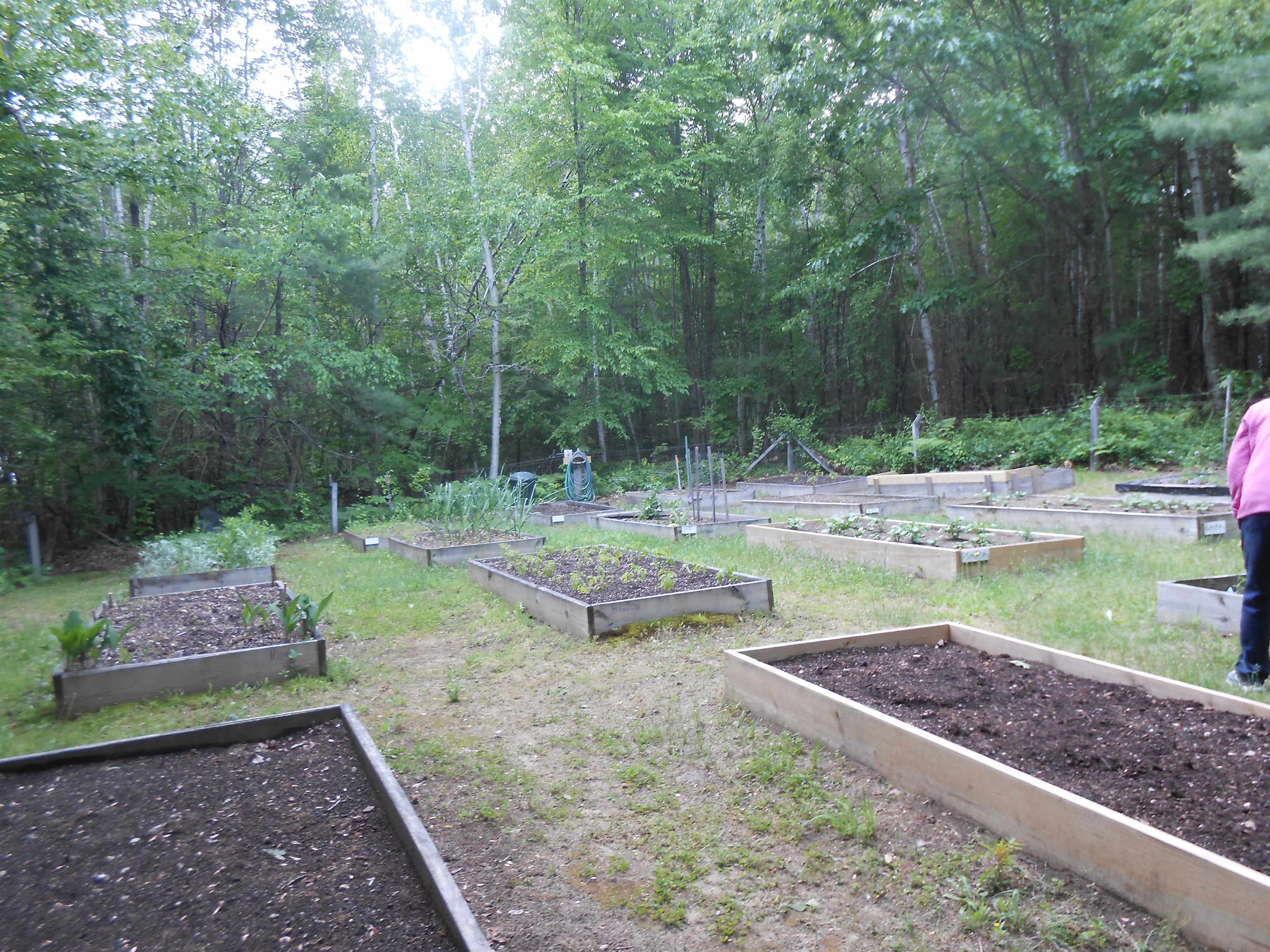 4 Sunny Oaks Ter, Wolfeboro, NH 03894