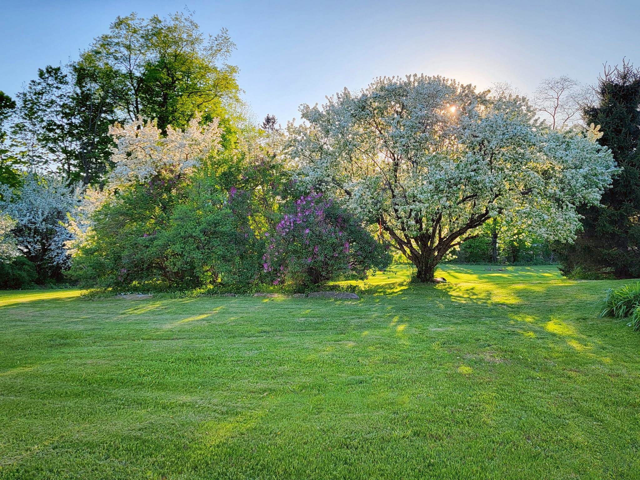 1076 Nh Route 123a, Acworth, NH 03607