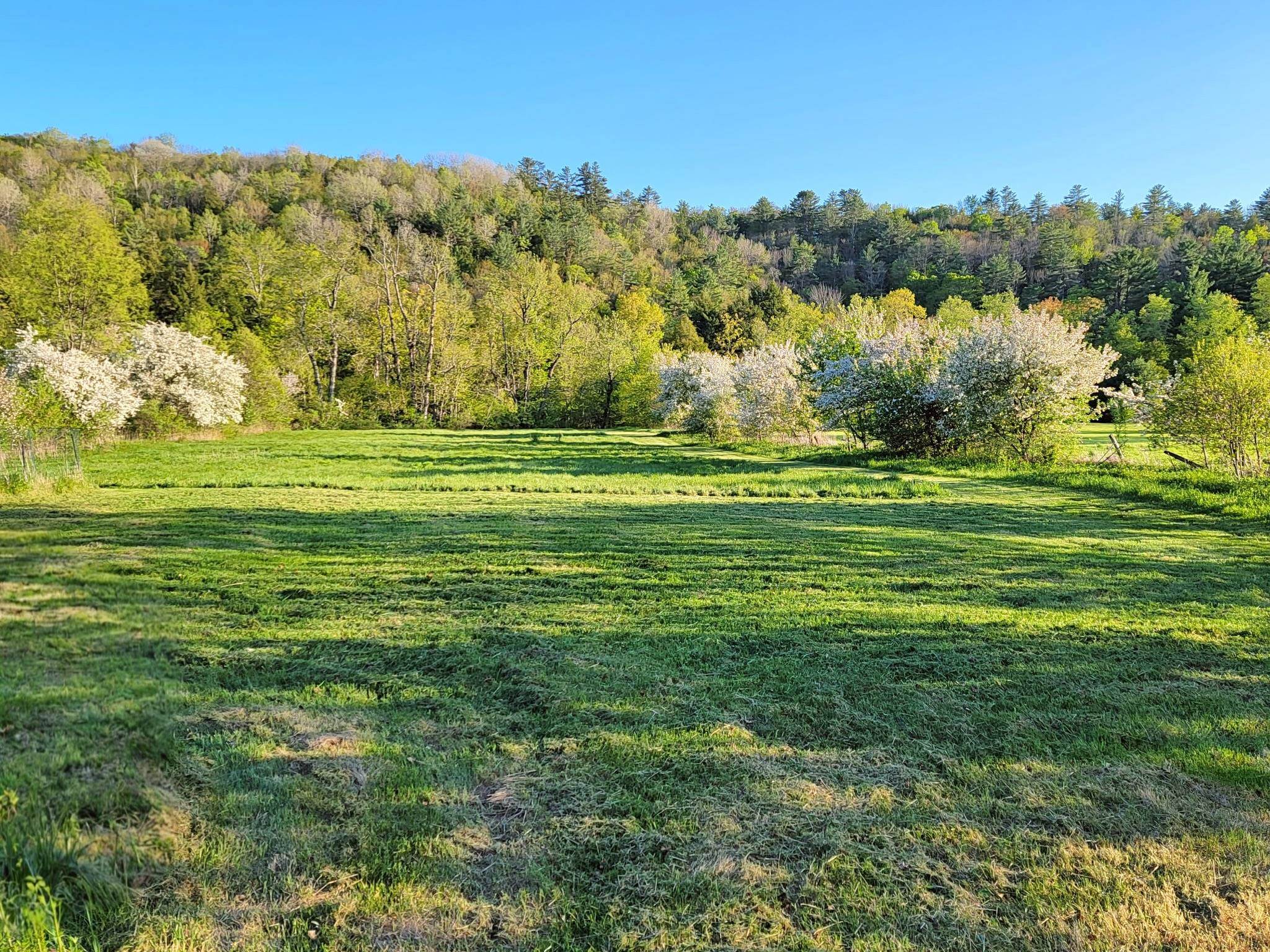 1076 Nh Route 123a, Acworth, NH 03607