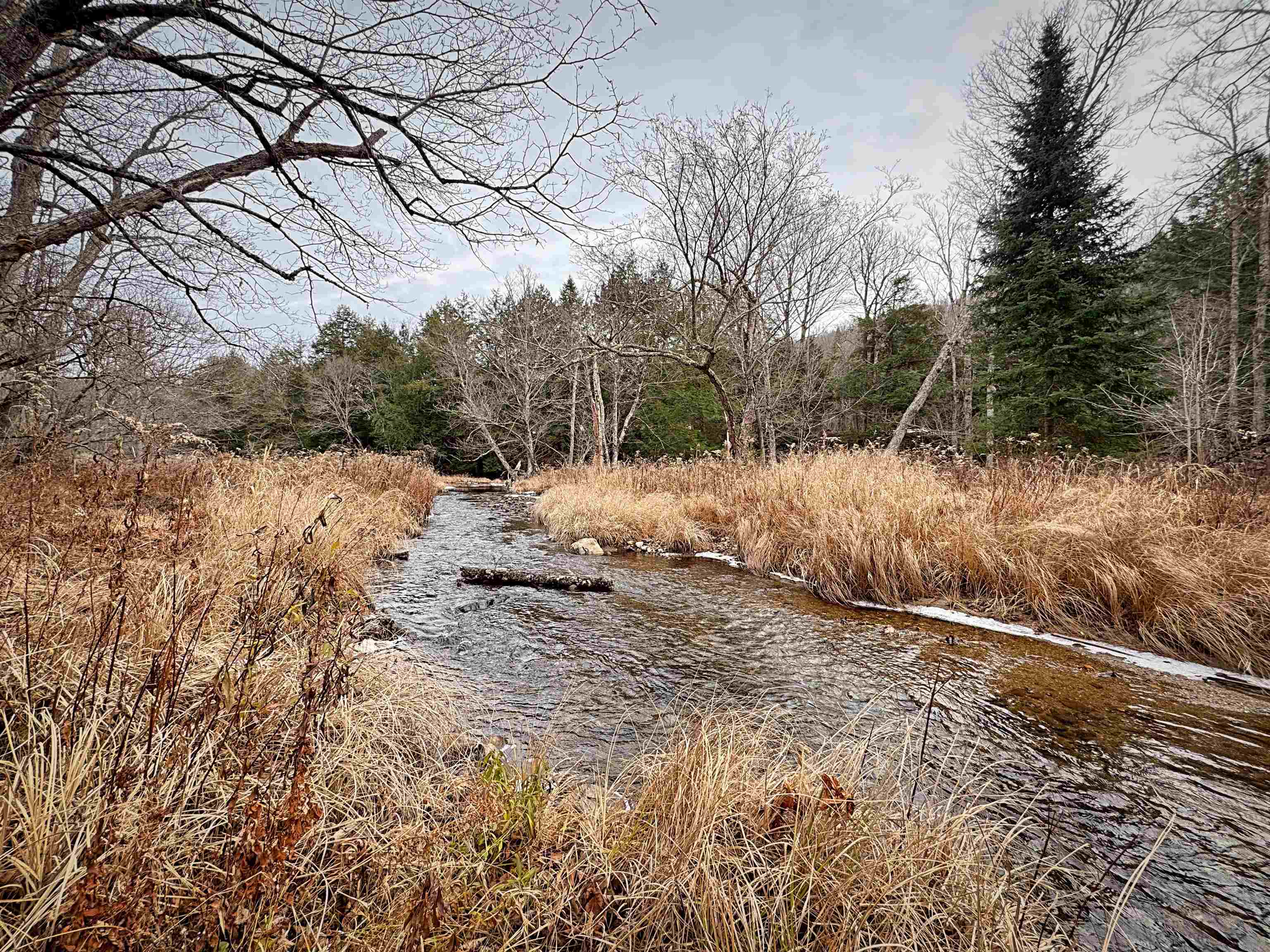 1076 Nh Route 123a, Acworth, NH 03607