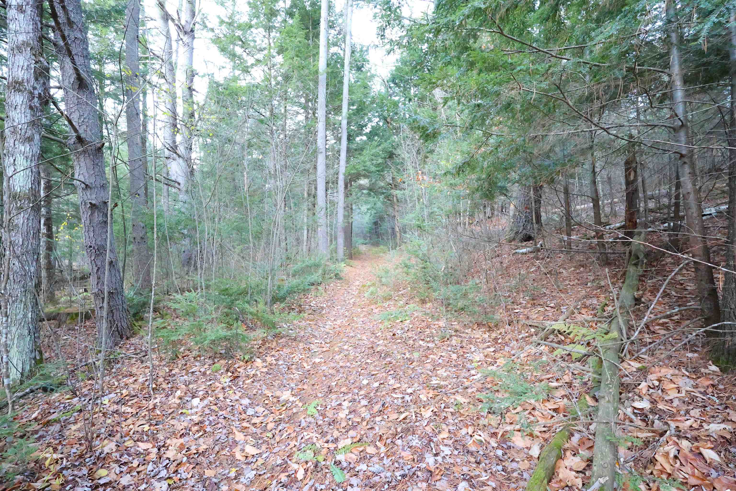 image of Hartford VT