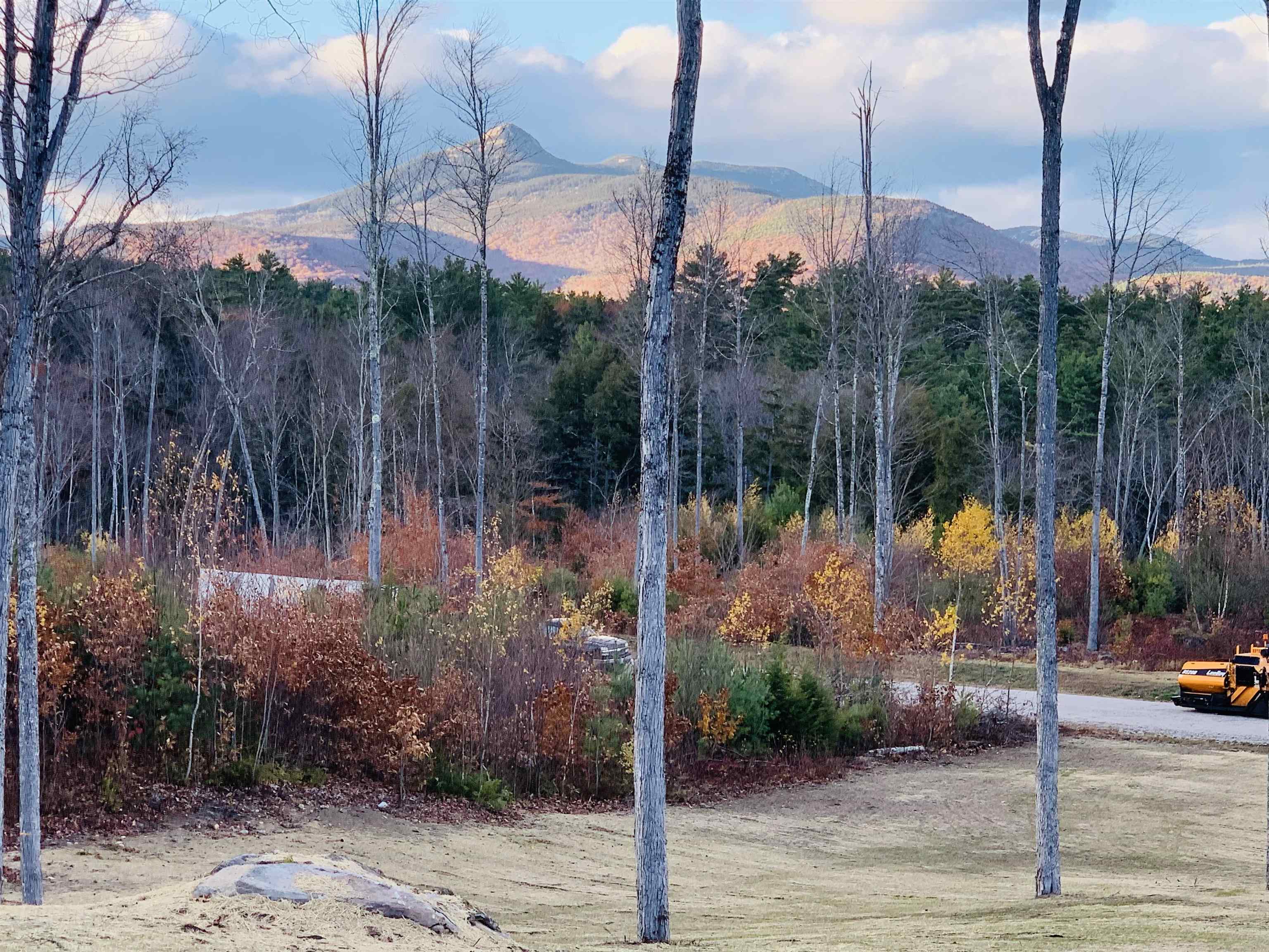 63 Whipples Way, Tamworth, NH 03817