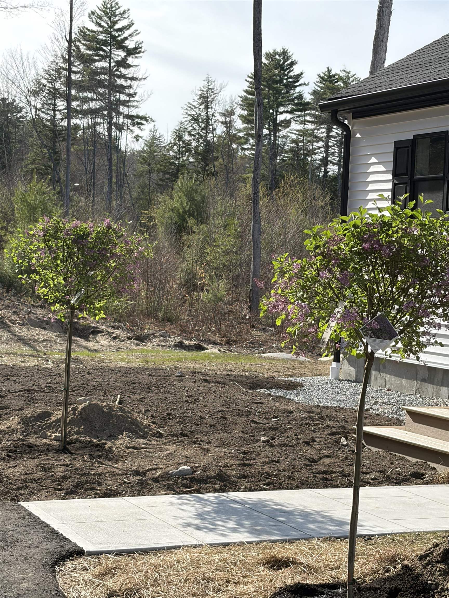 63 Whipples Way, Tamworth, NH 03817