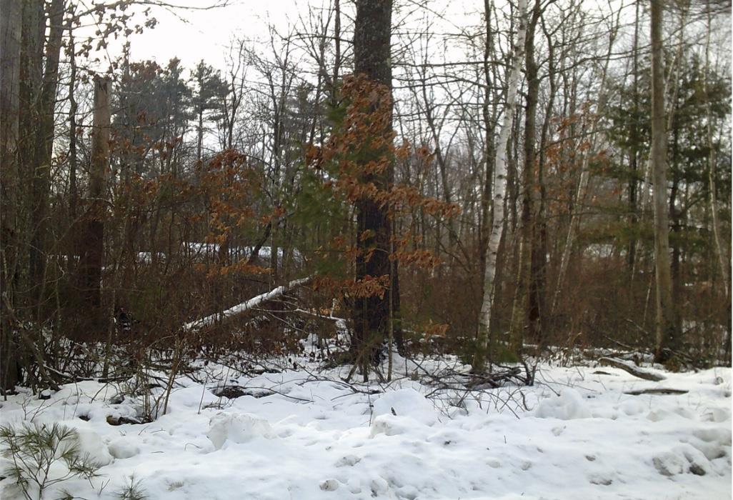 8 Mark Ave, Derry, NH 03038