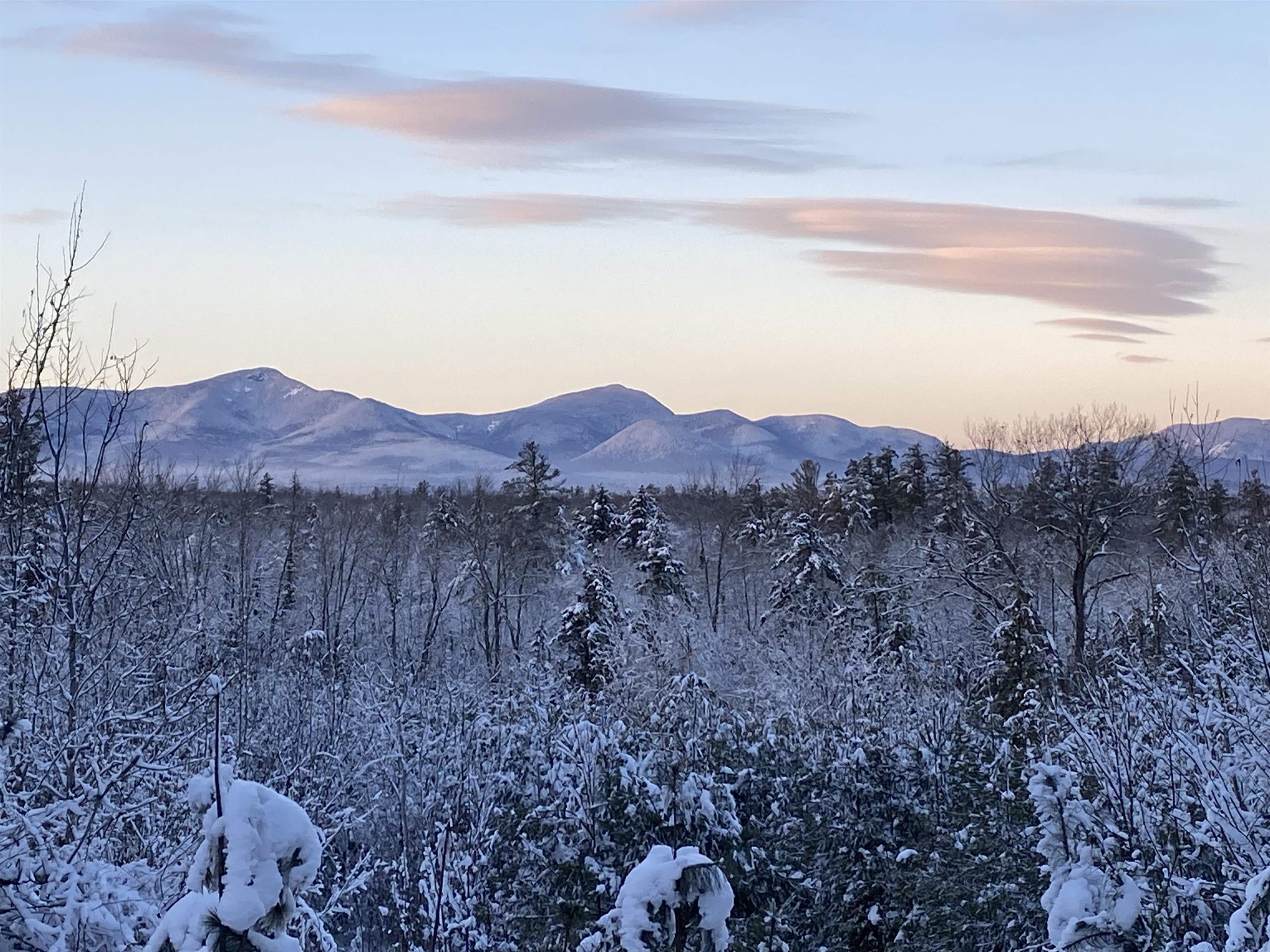 454 LITTLE POND Road — photo 3