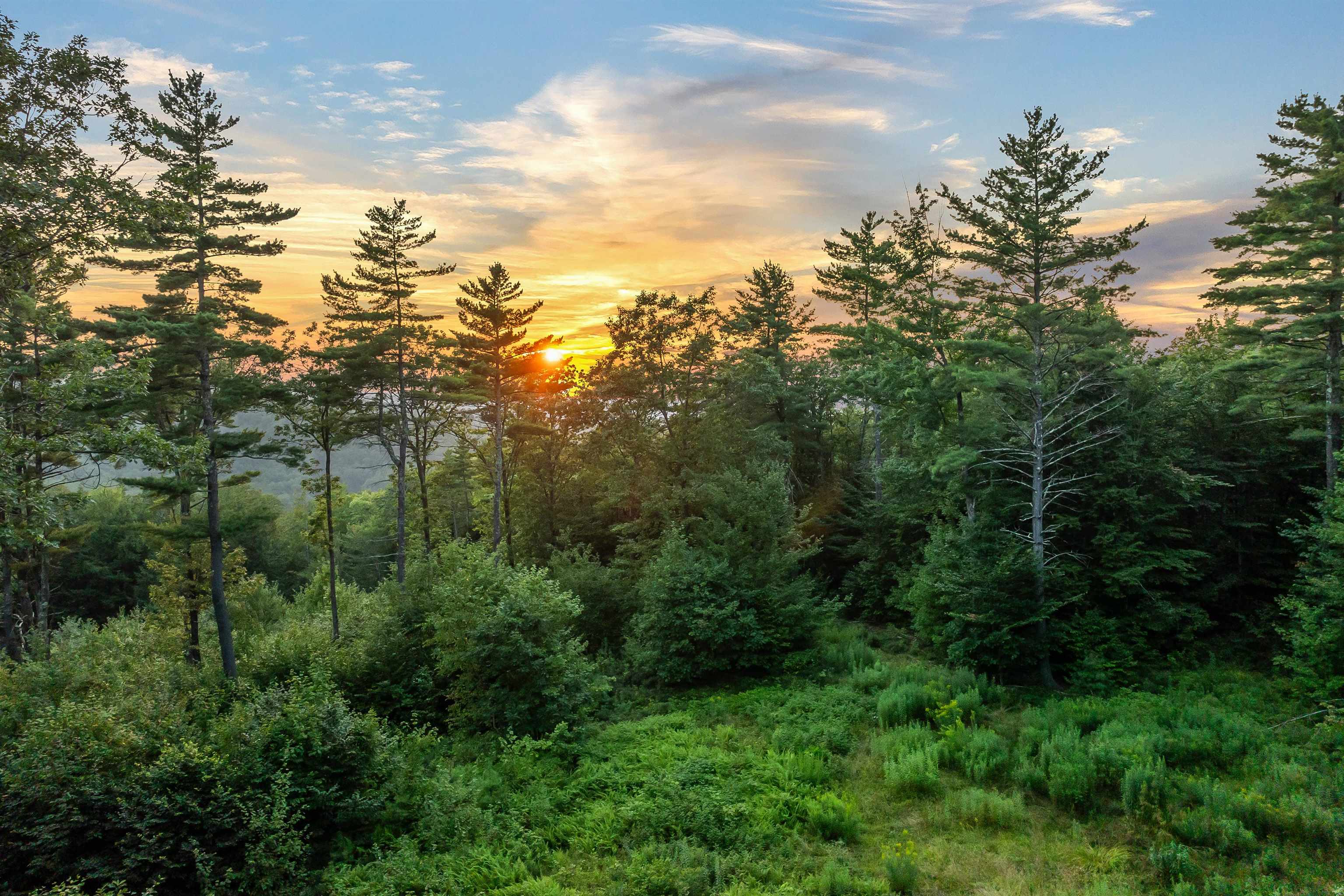 00 Pinnacle Ridge Road — photo 1