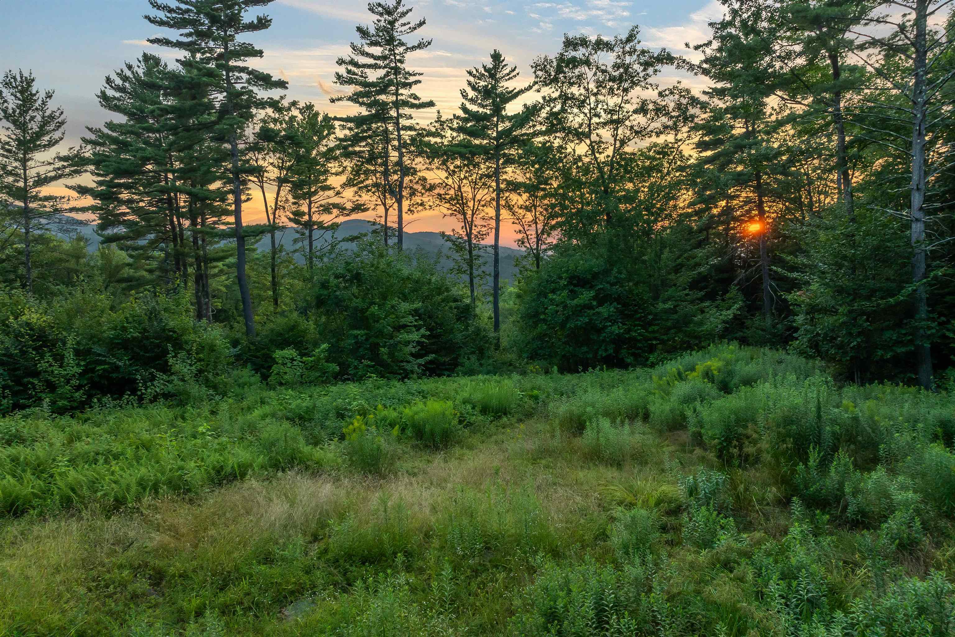 00 Pinnacle Ridge Road — photo 3