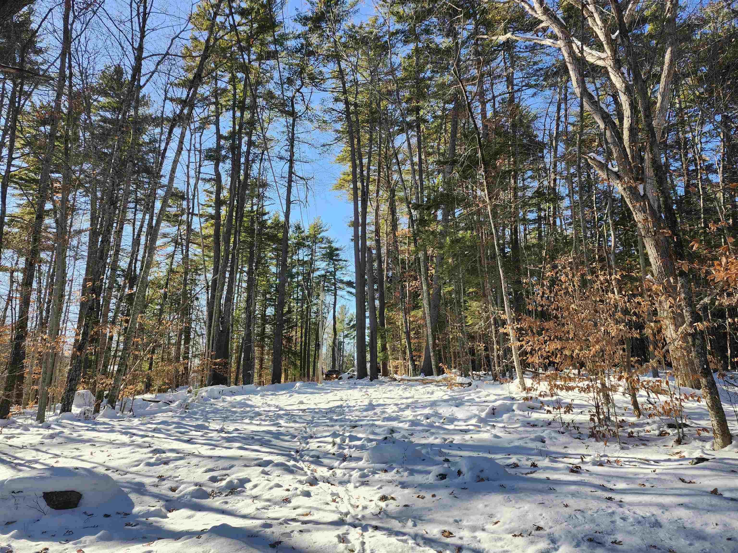 Lot 21 Cummings Cove Rd, Meredith, NH 03253