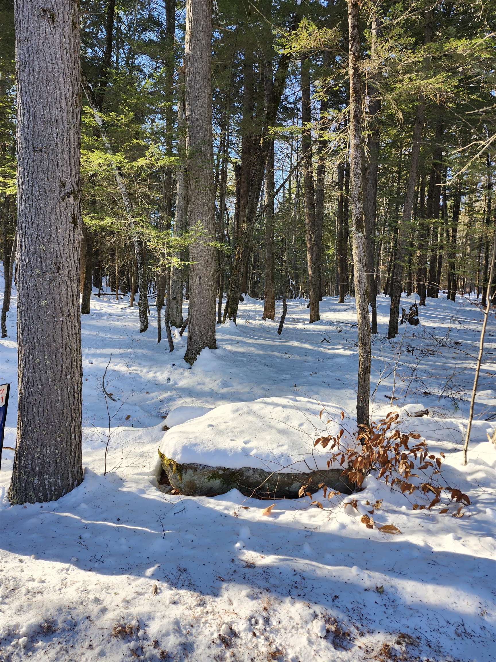 Lot 22 Cummings Cove Rd, Meredith, NH 03253