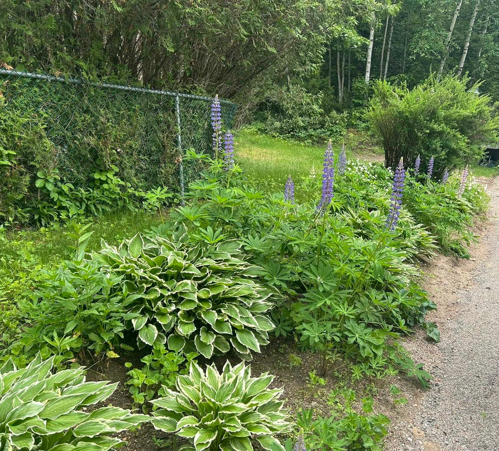 28 Washington Ave, Bartlett, NH 03845