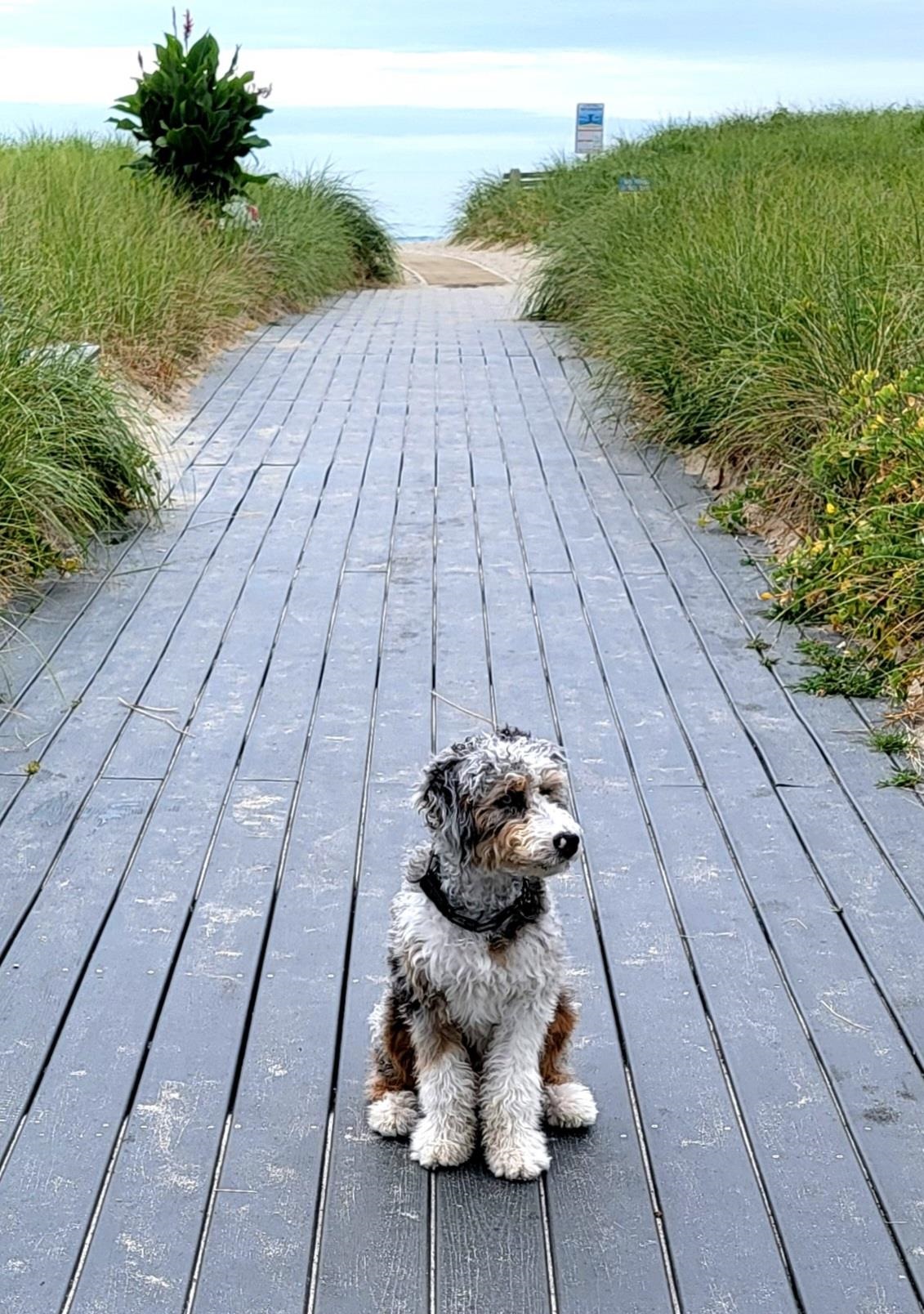 108 Ocean Dr #1, Seabrook, NH 03874