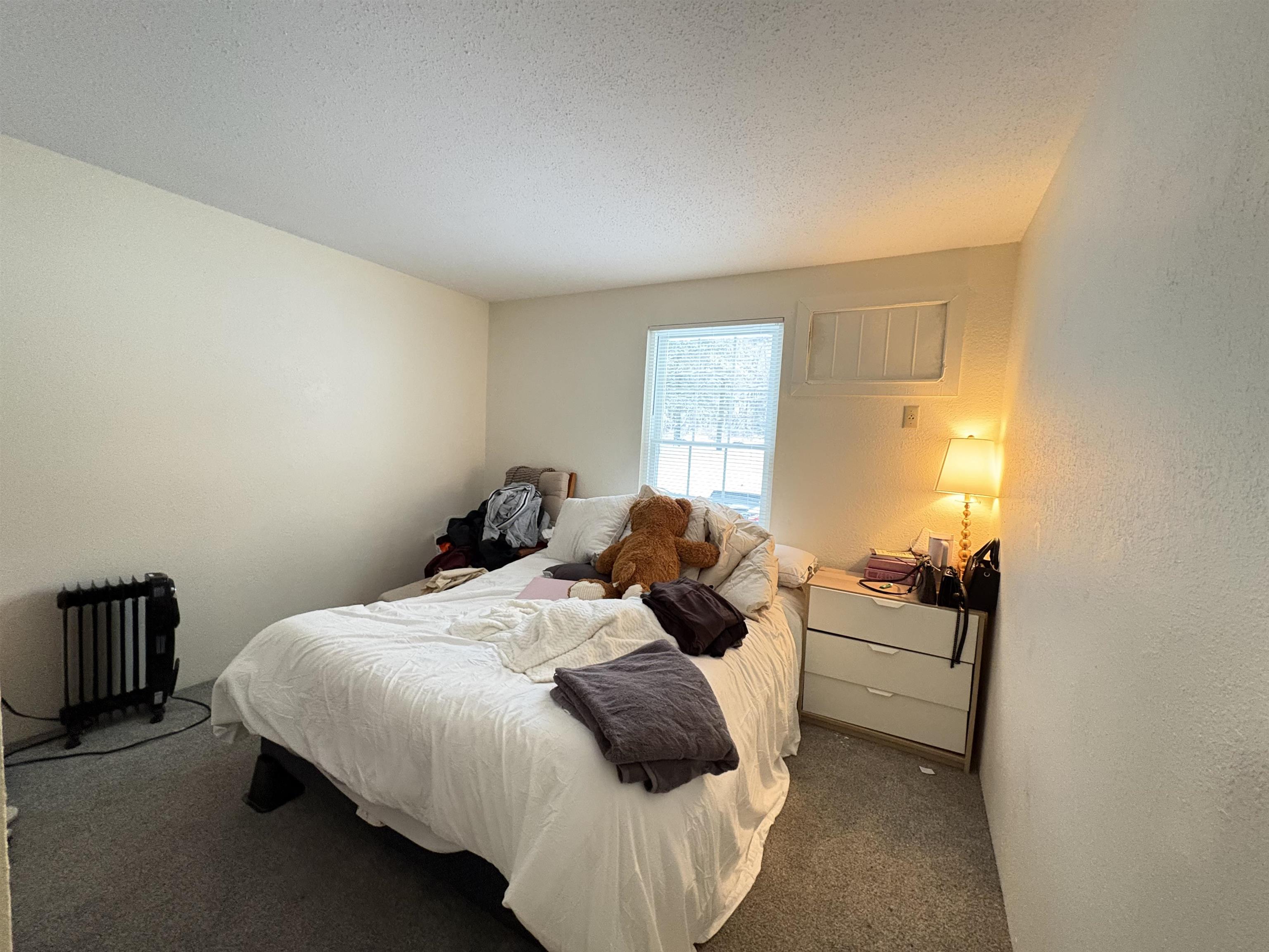 20 Wolf Rd, Lebanon, NH 03766