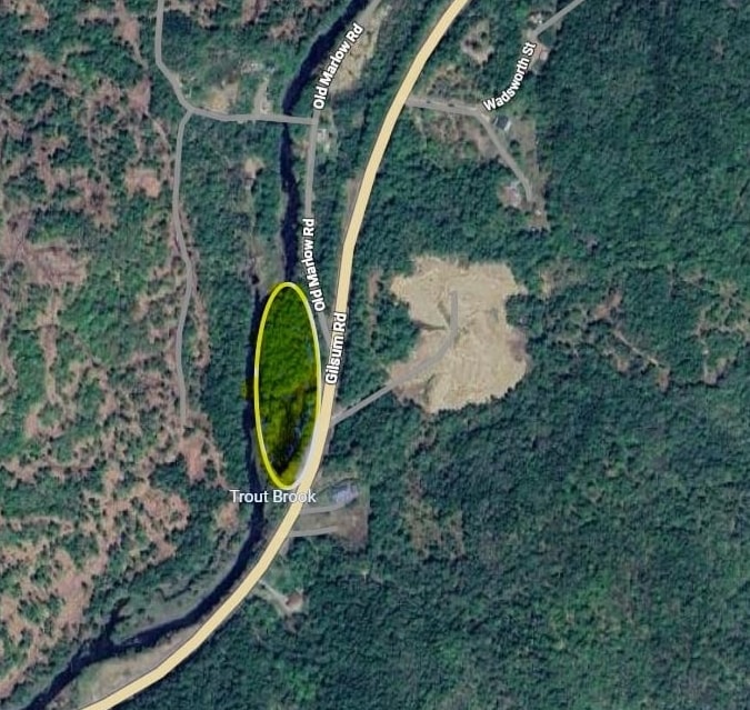 0 Old Marlow Rd, Gilsum, NH 03448