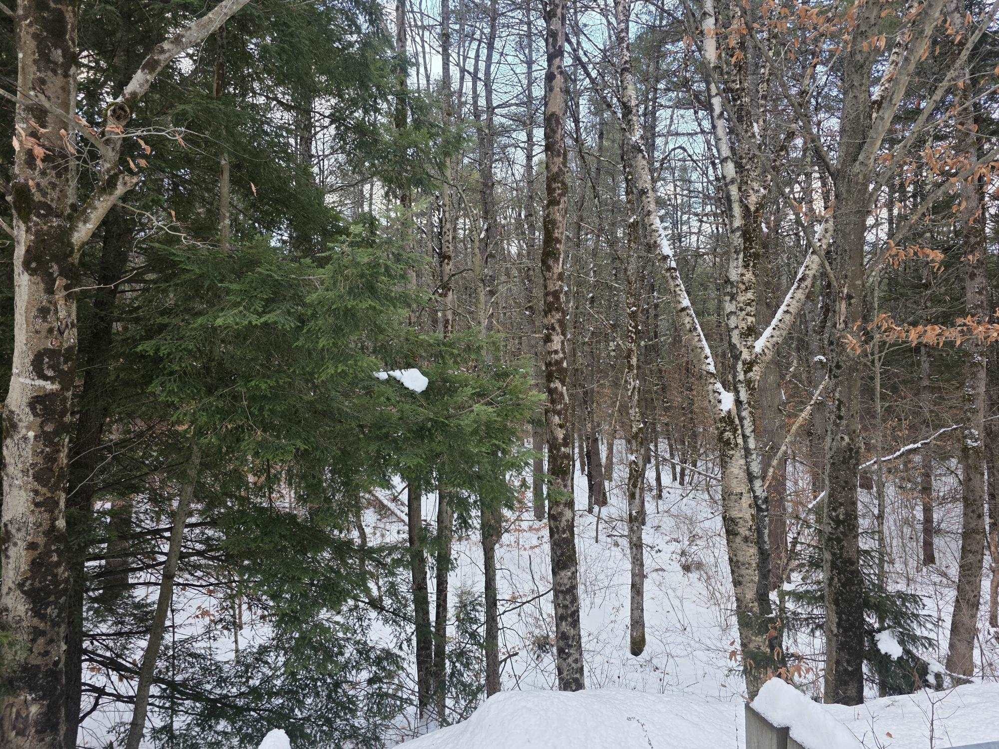 0 Old Marlow Rd, Gilsum, NH 03448