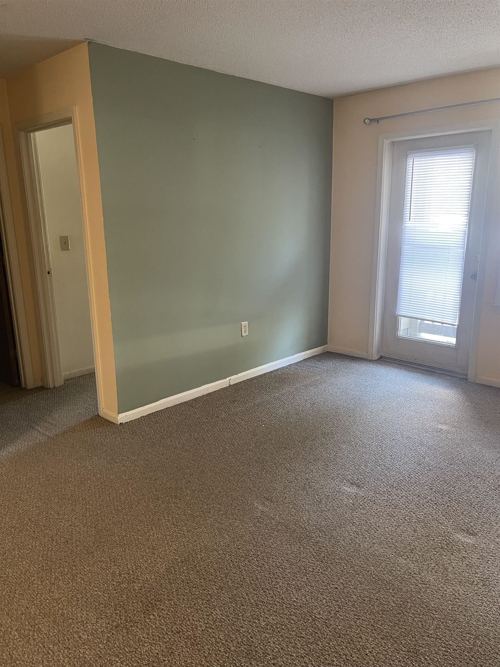 Accent wall in Living room