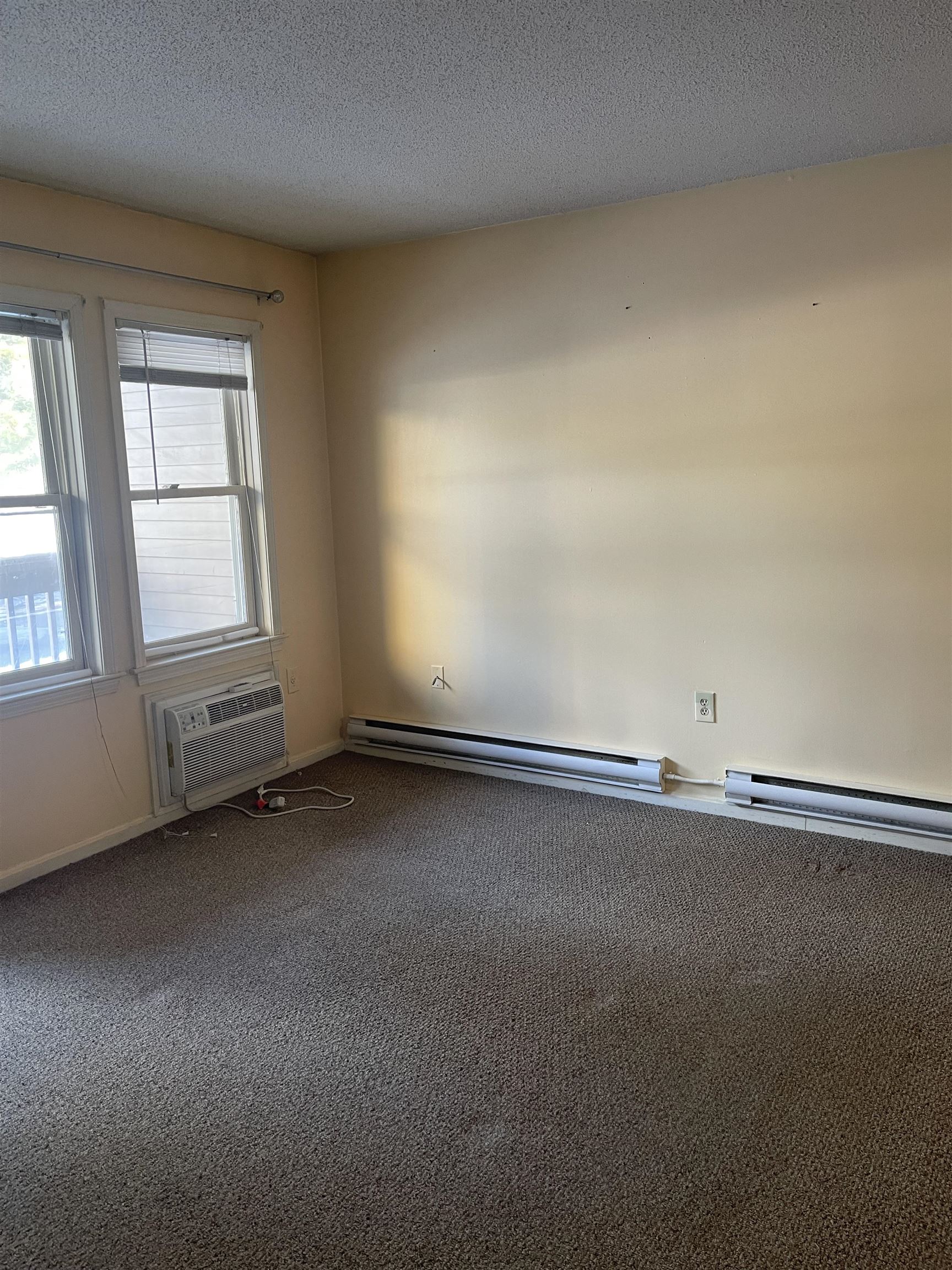 Double window and AC in Living room