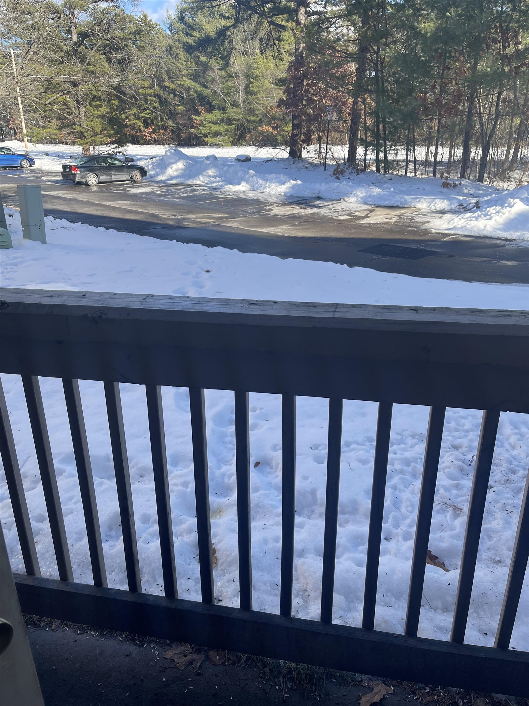 Balcony overlooking the woods