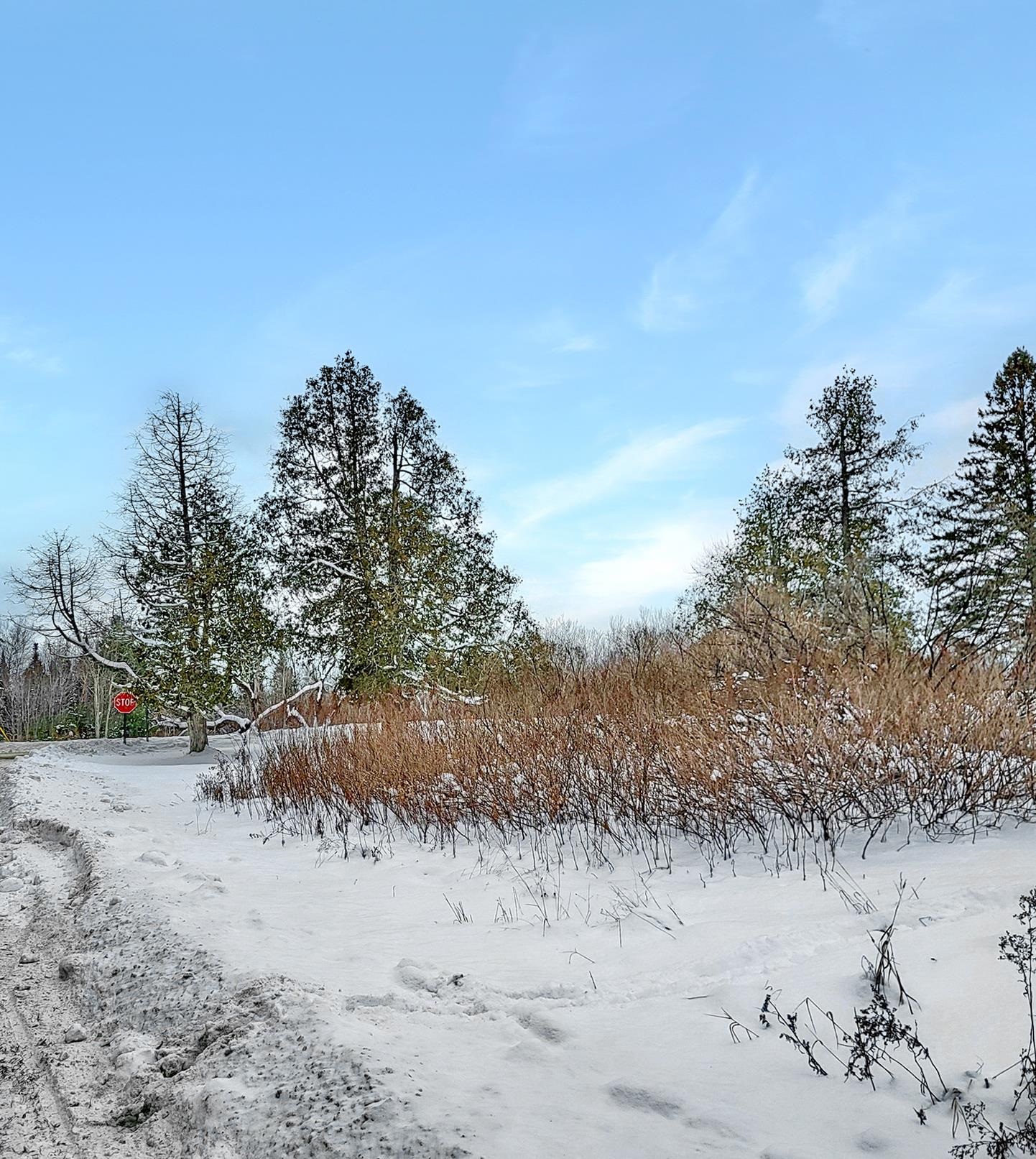 000 Mountain View Rd, Whitefield, NH 03598